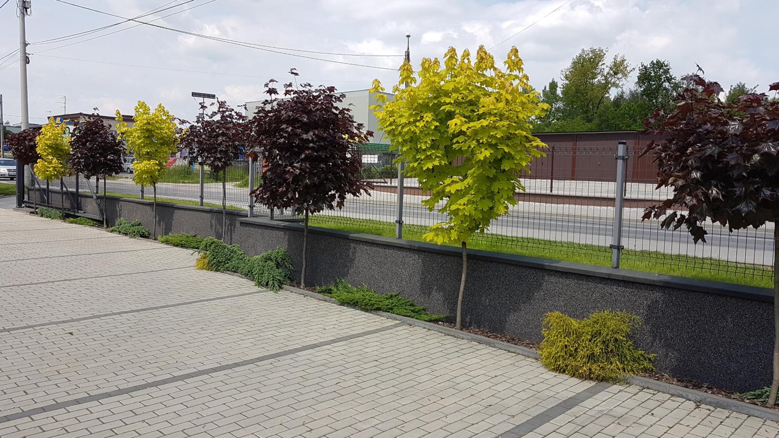 Photo 12