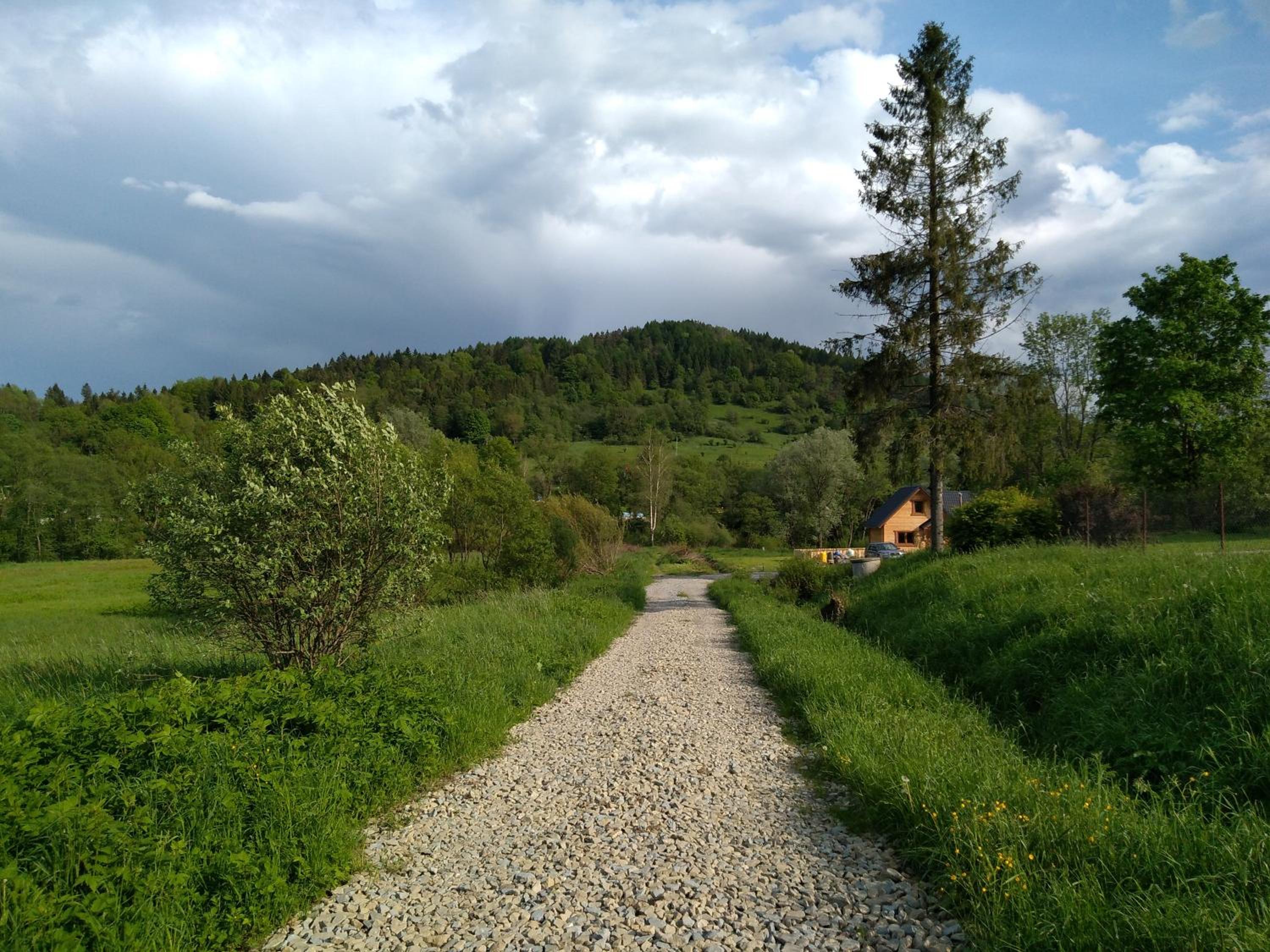 Dolina Rosy