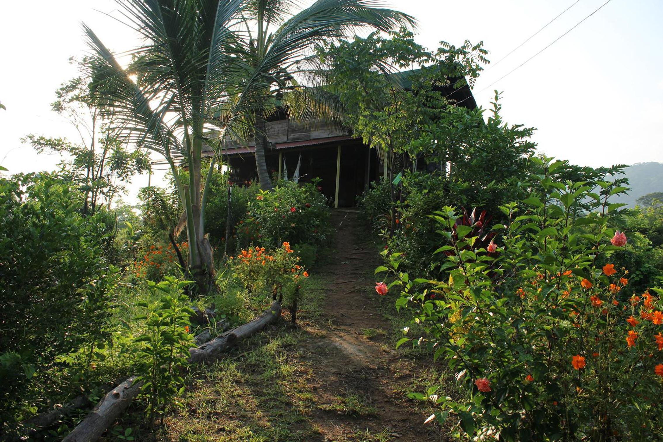 Posada la Ofelia