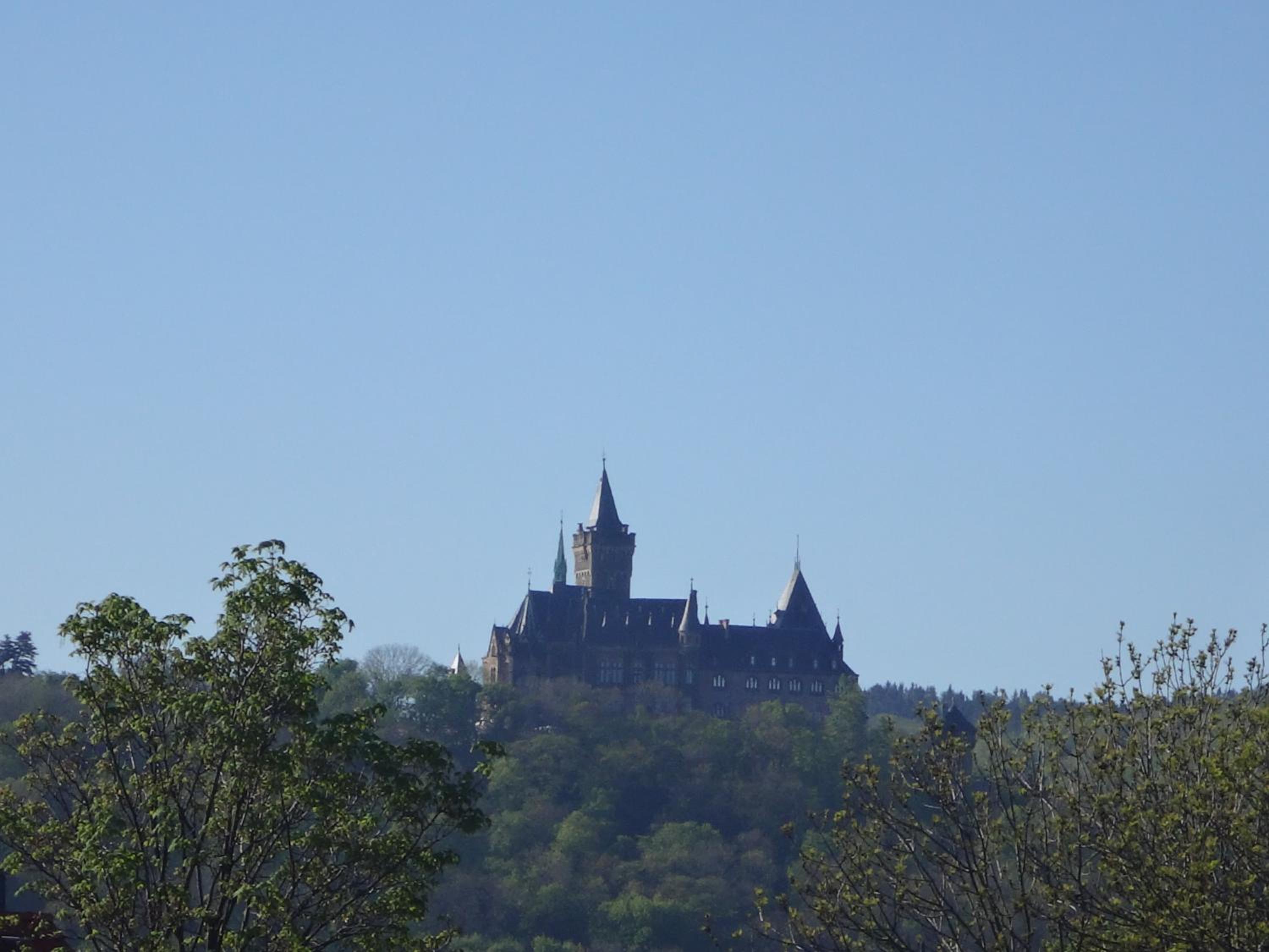 Amazing Elli en Wernigerode
