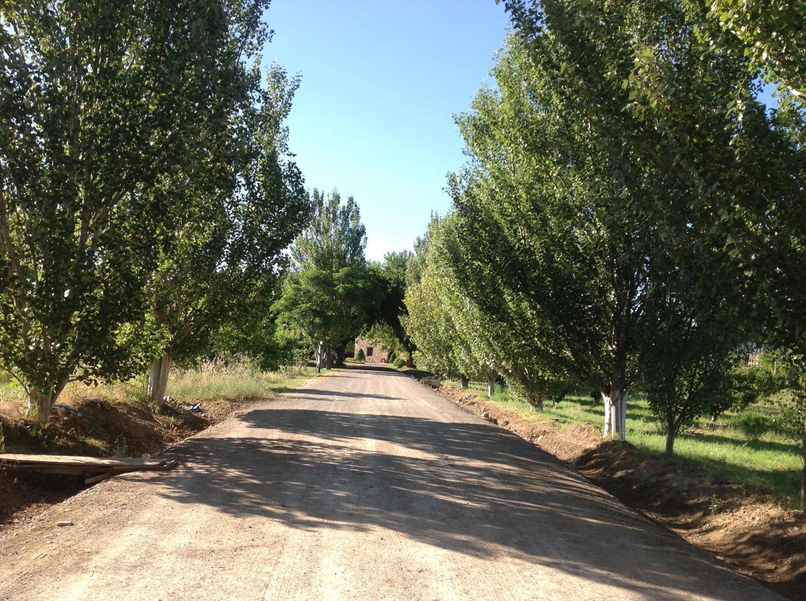 Finca el Consul view 3