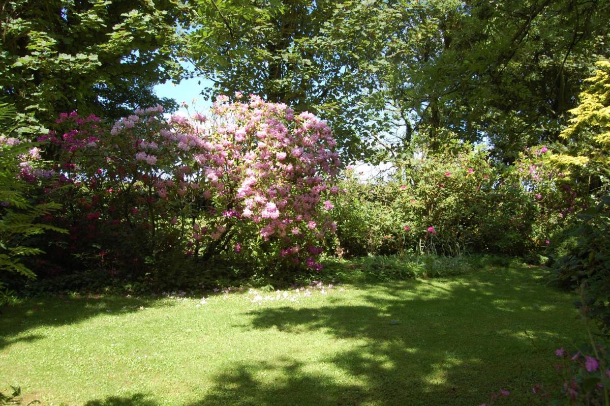 Moorclose Bed and Breakfast, photo 7