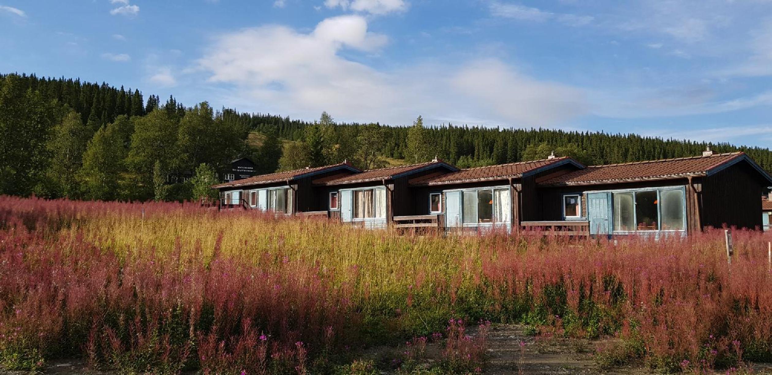 Bydalens Fjällby