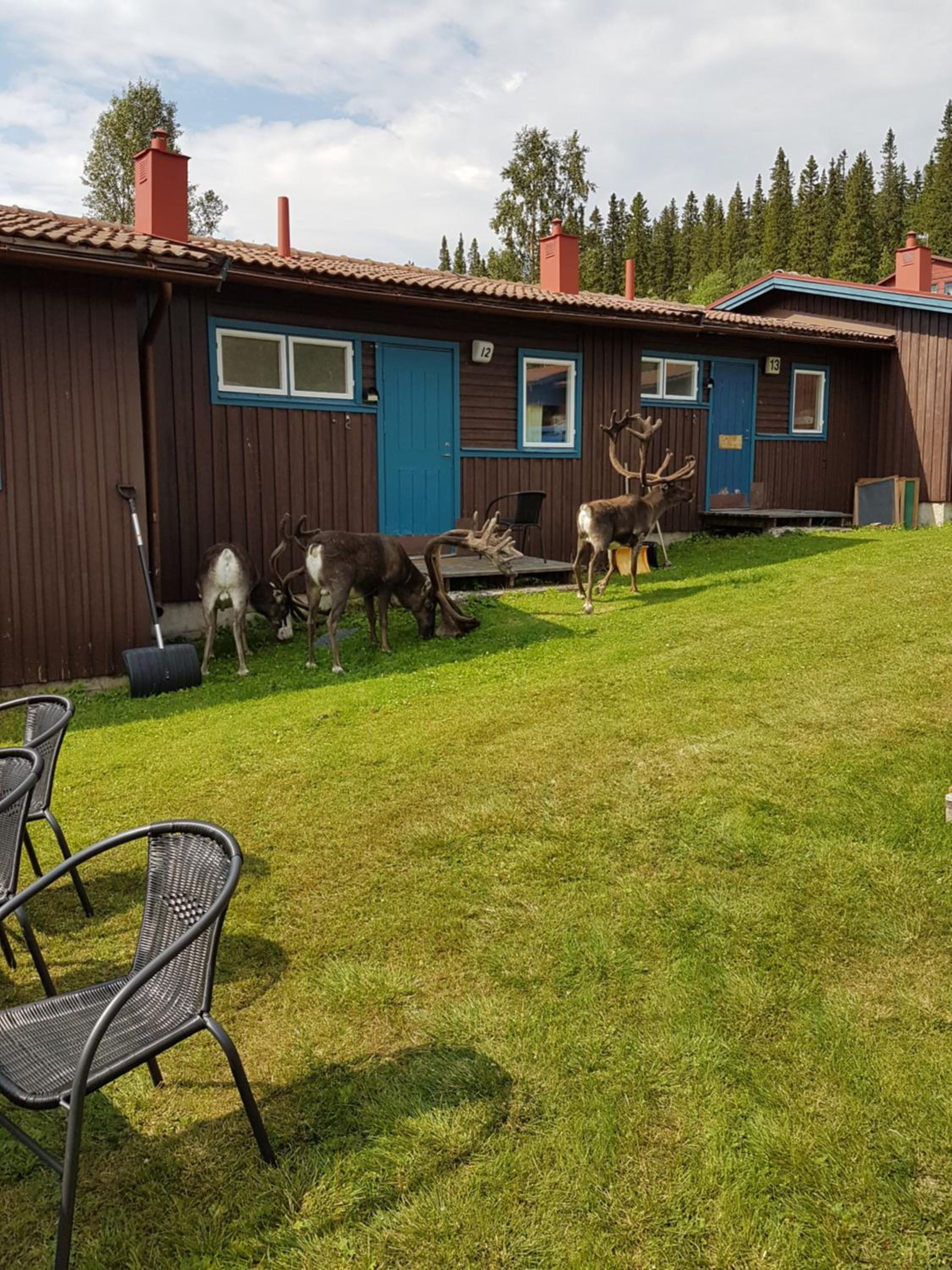 Bydalens Fjällby