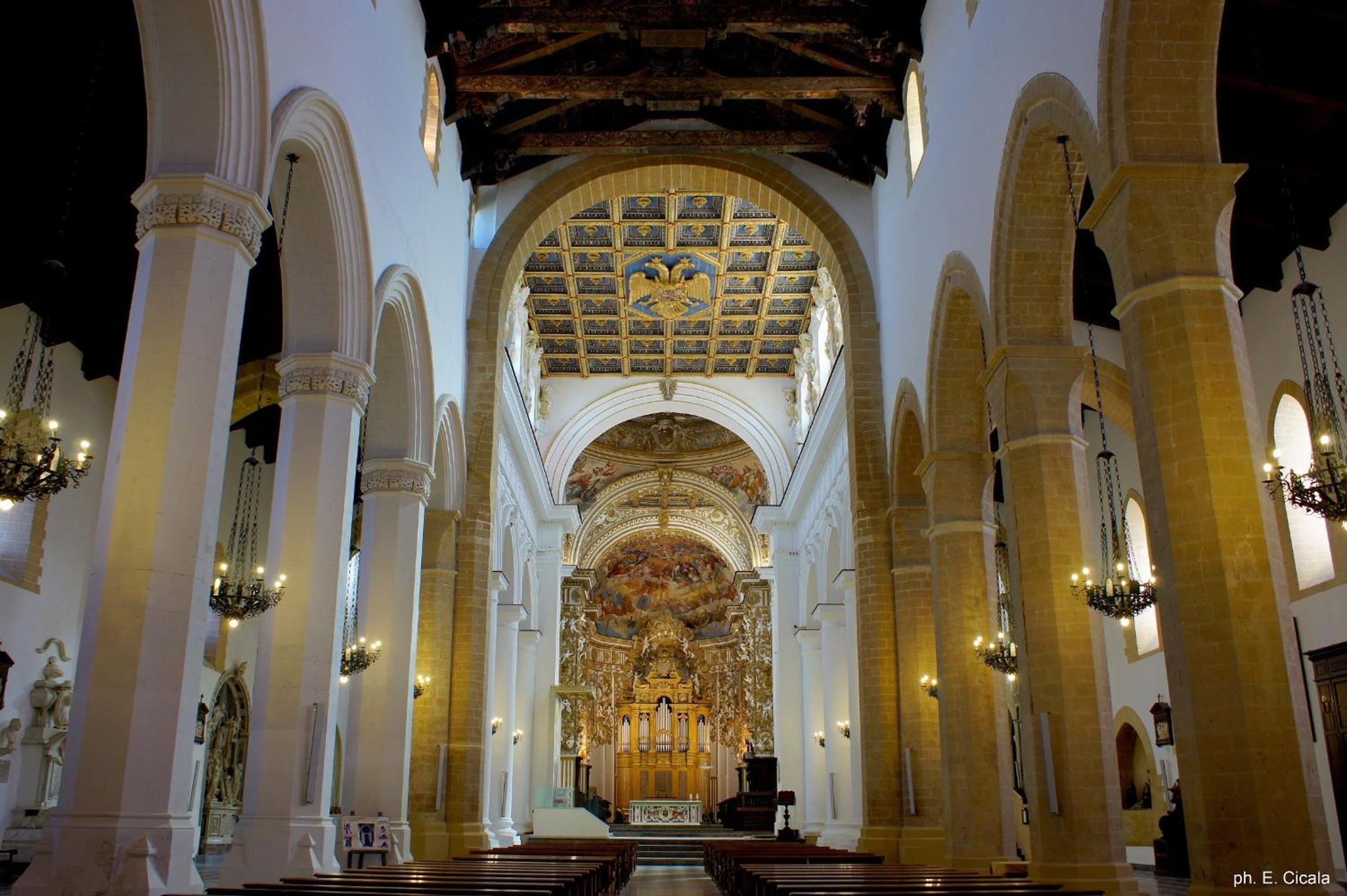 Photo 24