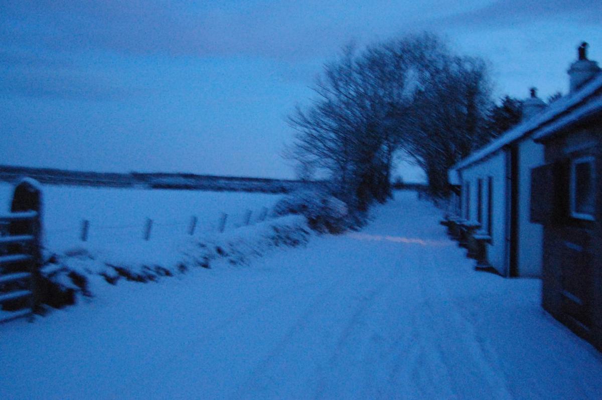 Moorclose Bed and Breakfast, photo 9