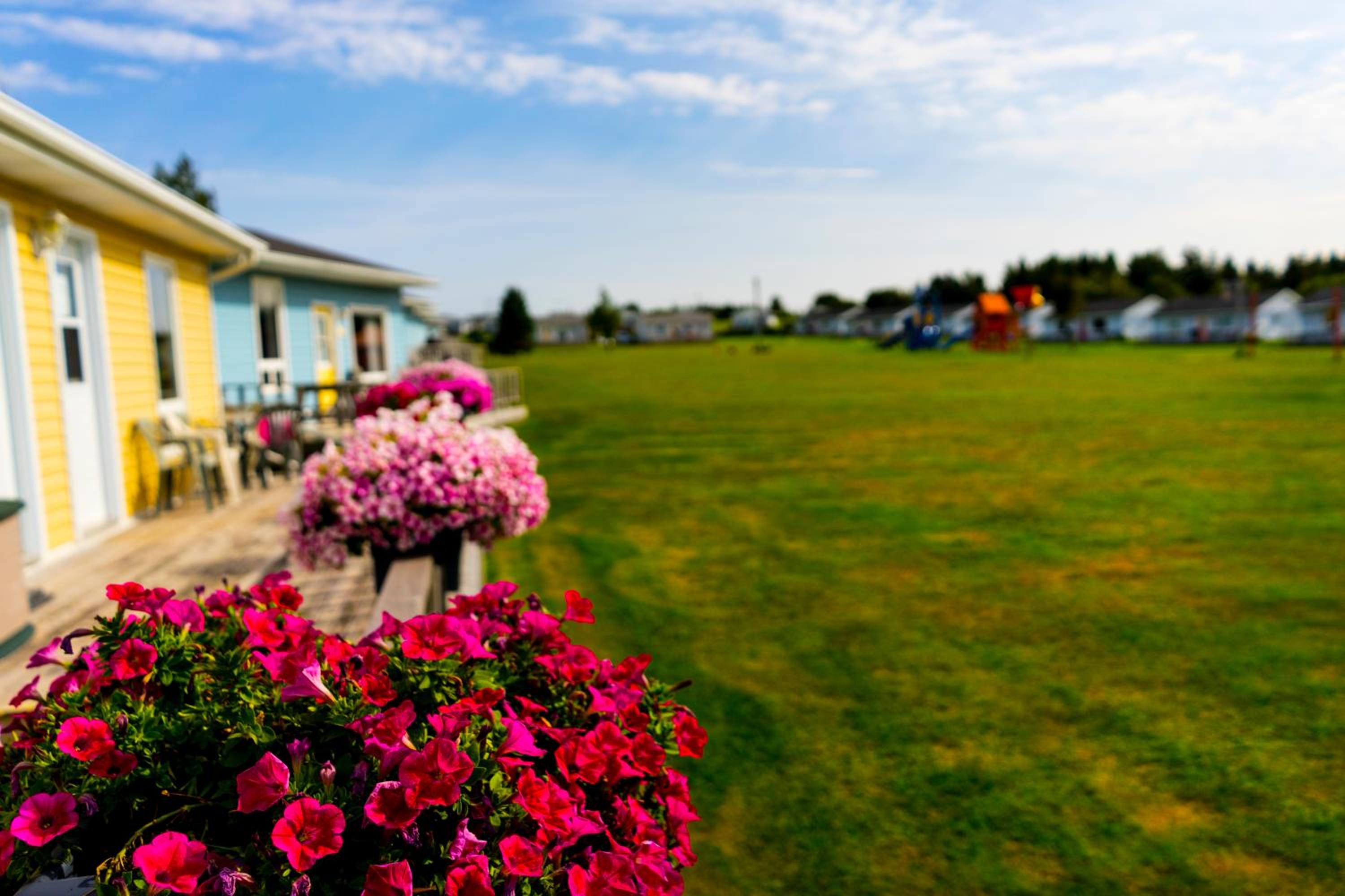 Sundance Cottages