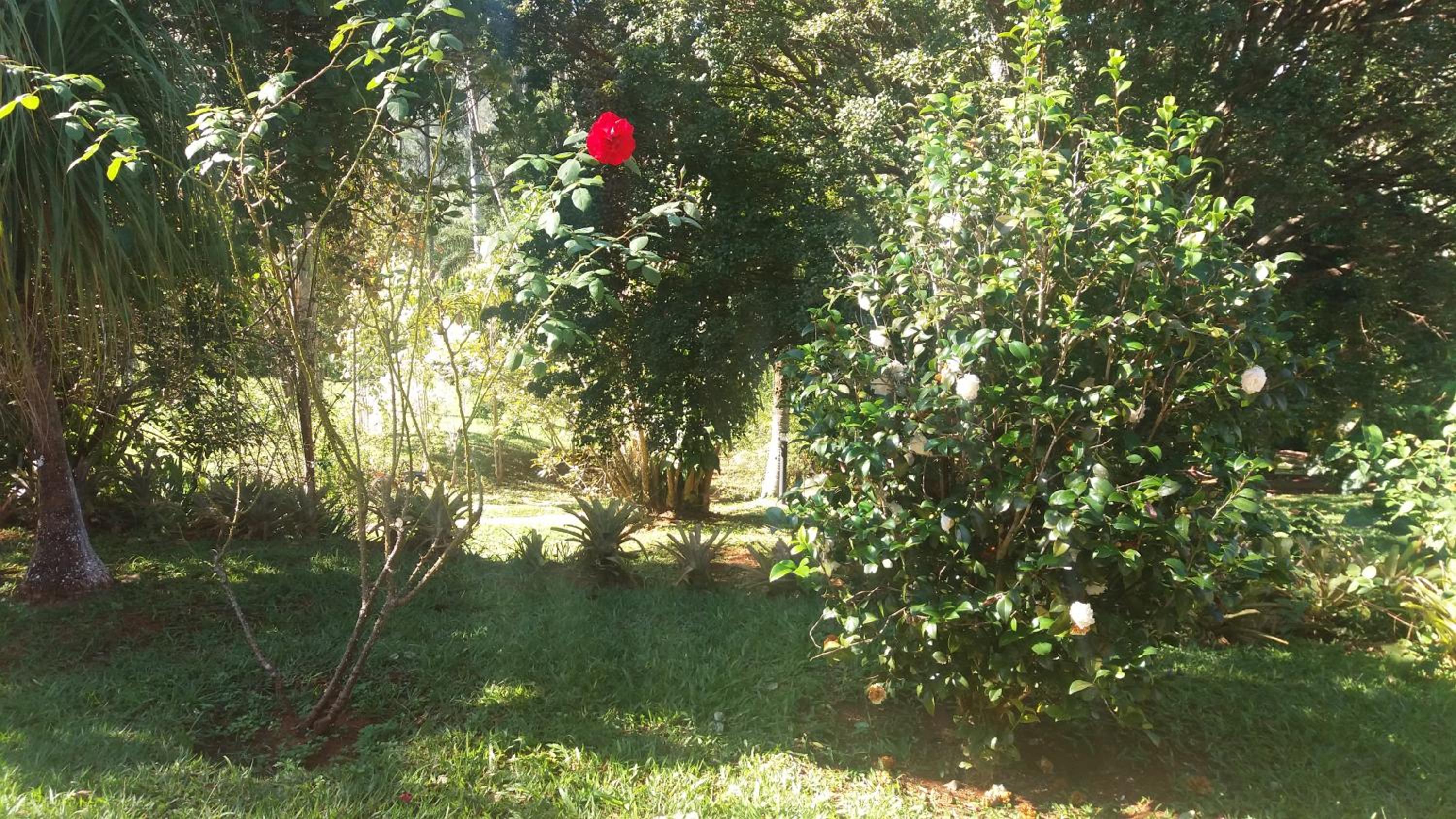 Photo 24