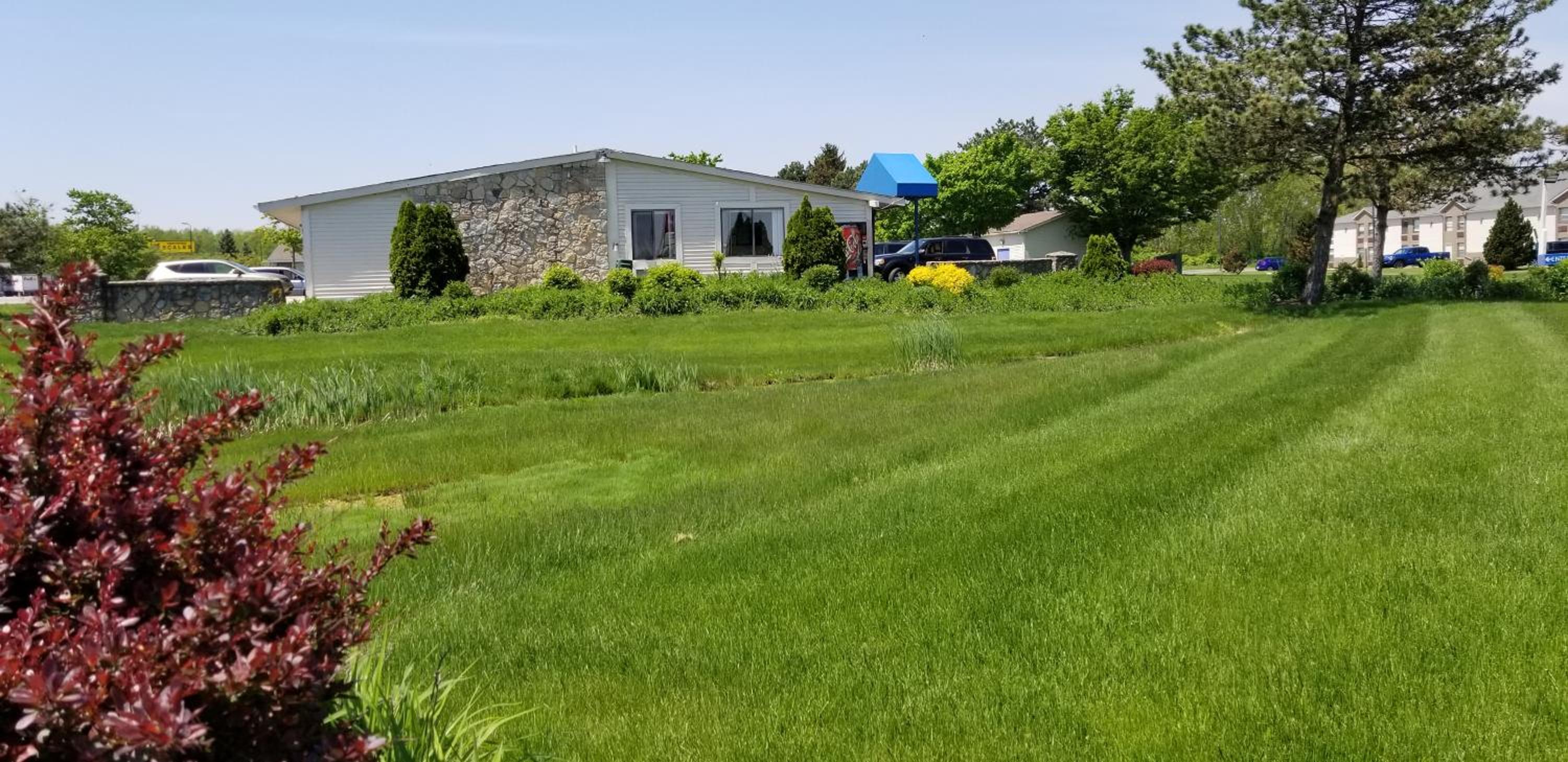 garden