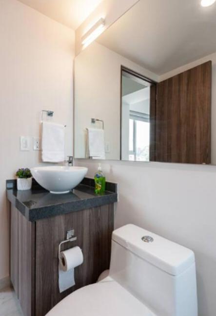 San Angel Luxury apartment 2BR 2BA 1Parking photo 5