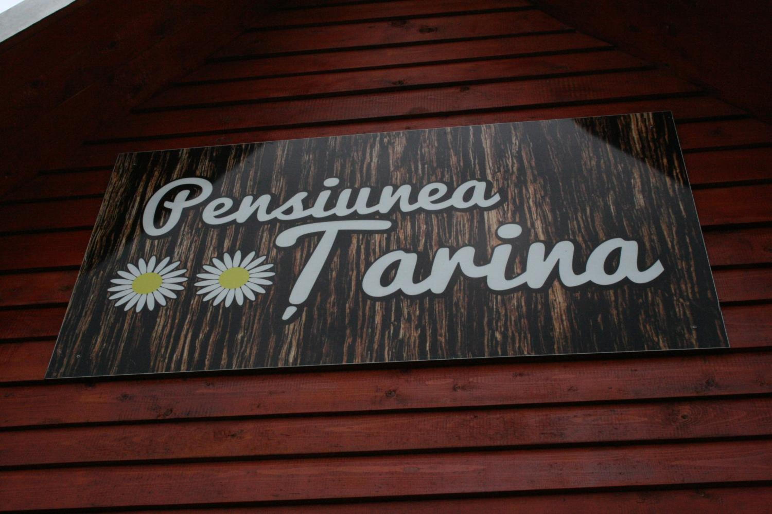 Pensiunea Tarina view 2