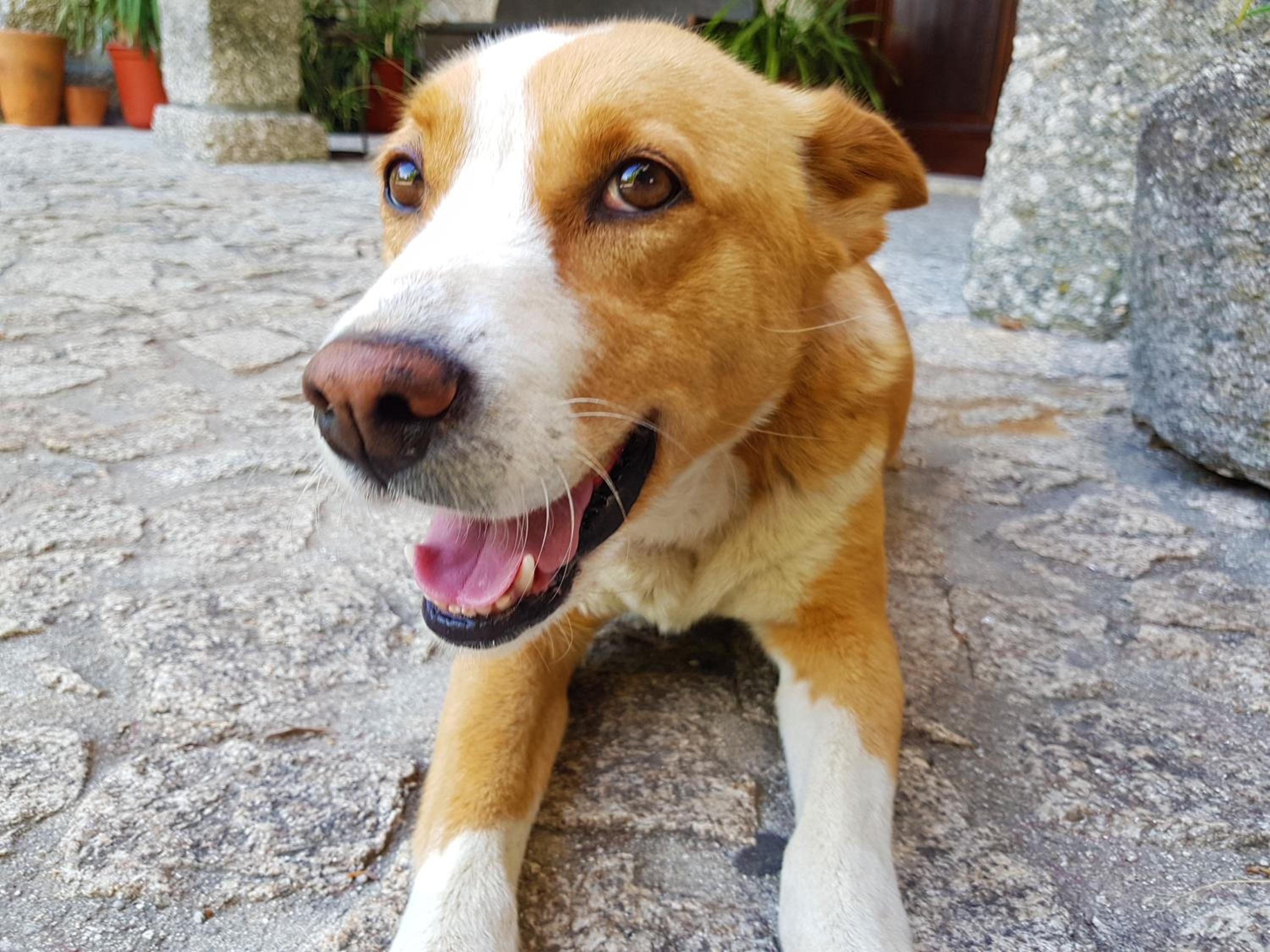 Quinta Da Penela