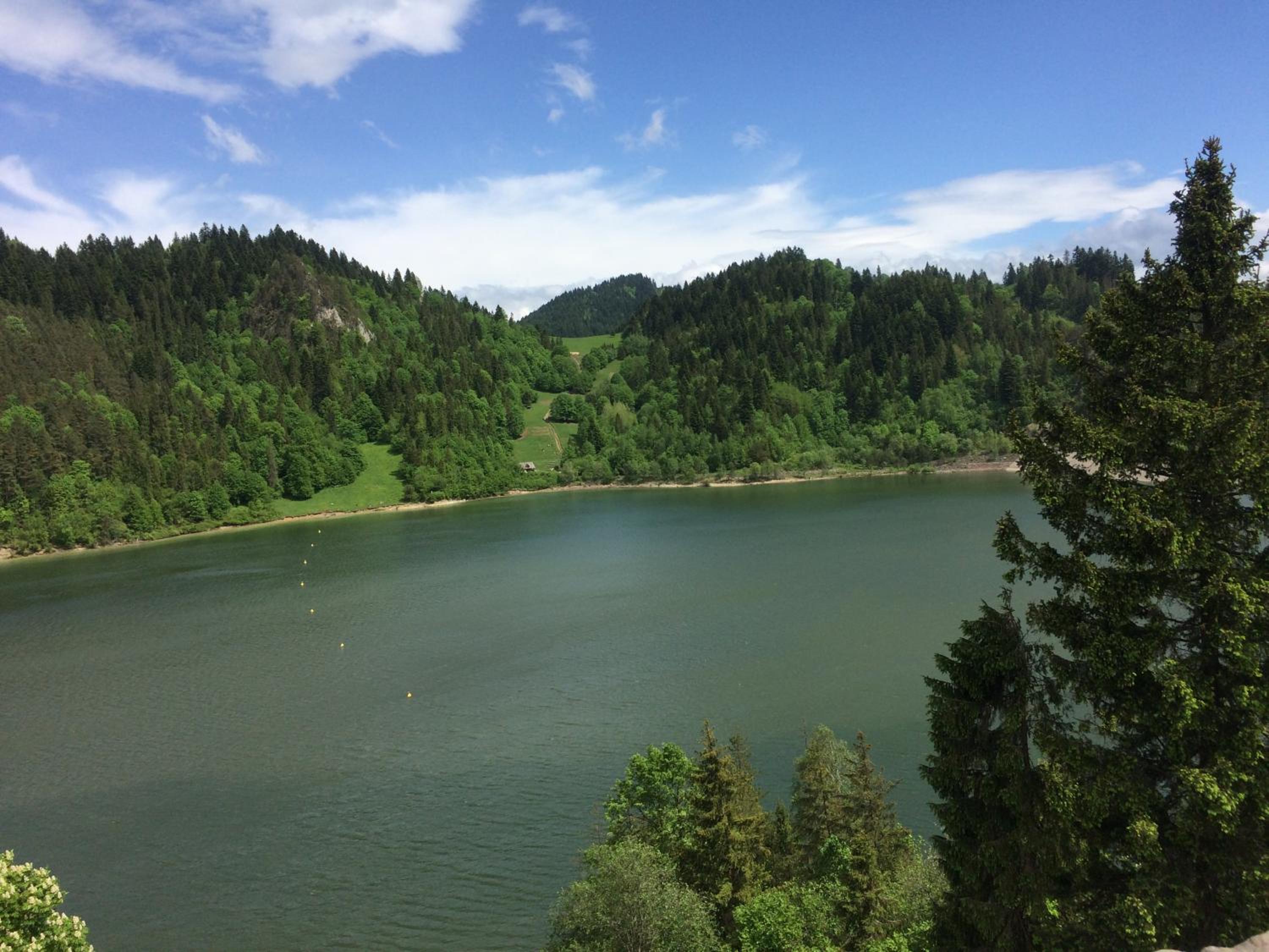 Photo 44