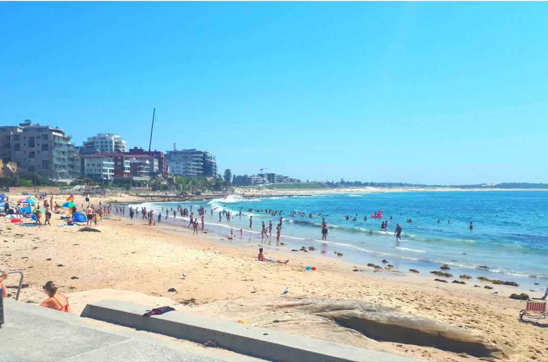Palm Garden Villa-Apt with tropical Courtyard at Cronulla Beach view 4