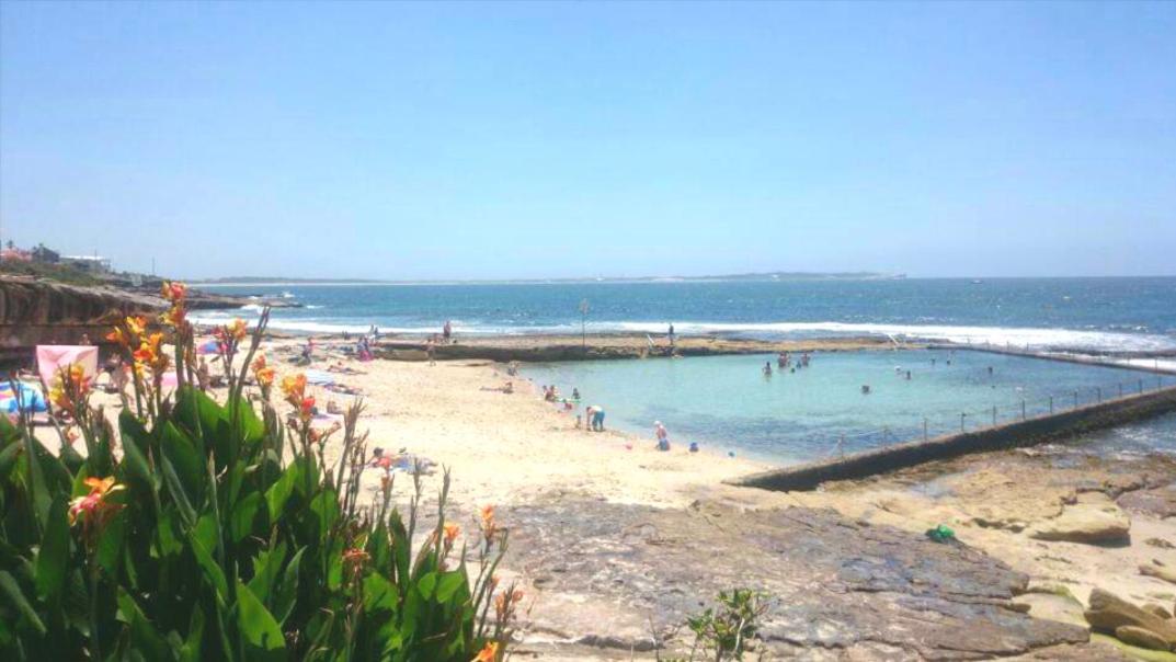 Palm Garden Villa-Apt with tropical Courtyard at Cronulla Beach view 5