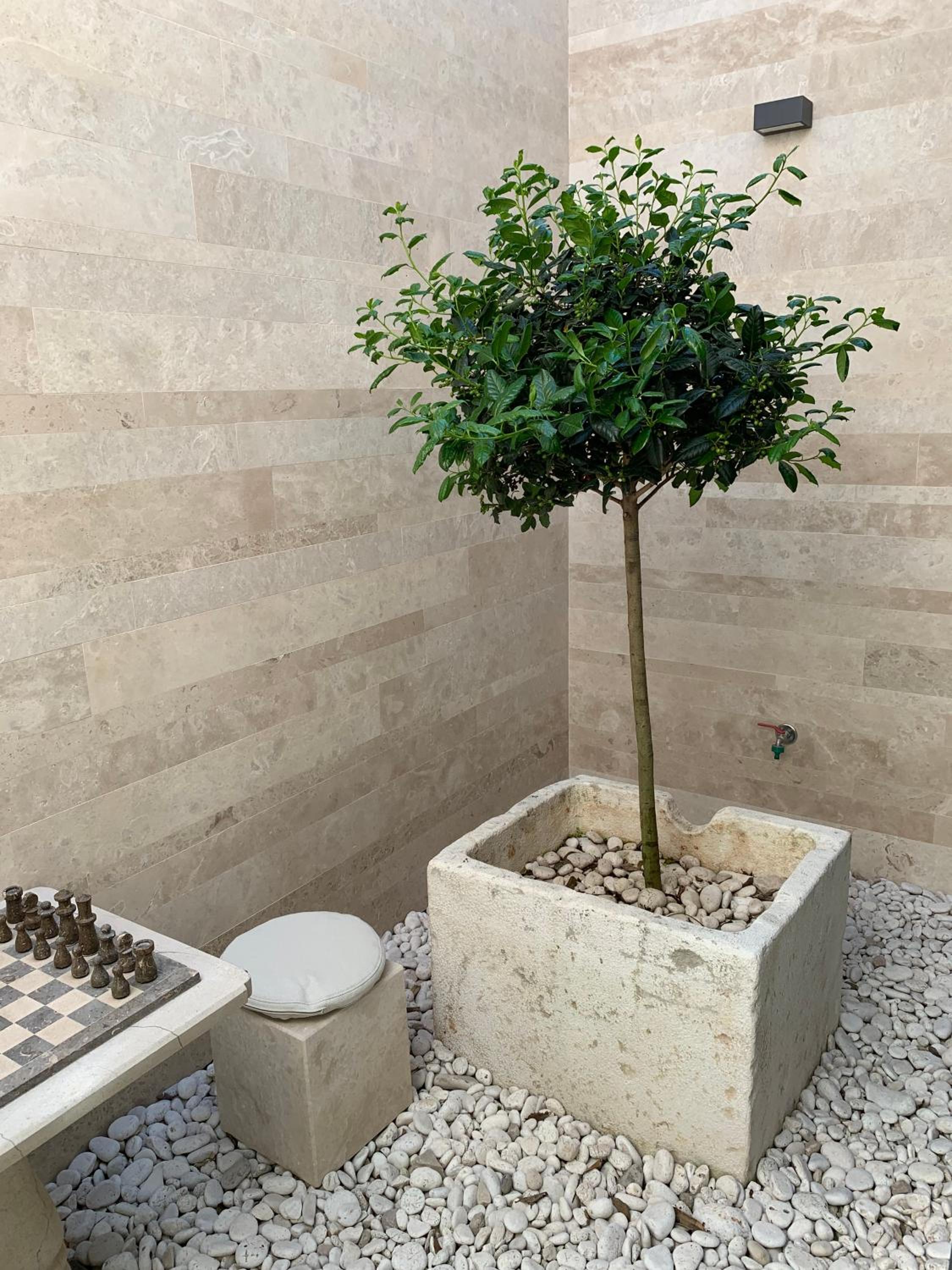 Villa Pietra — photo 5