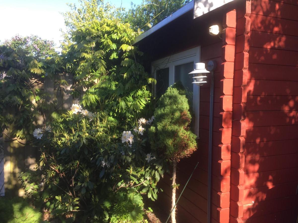 Photo 14