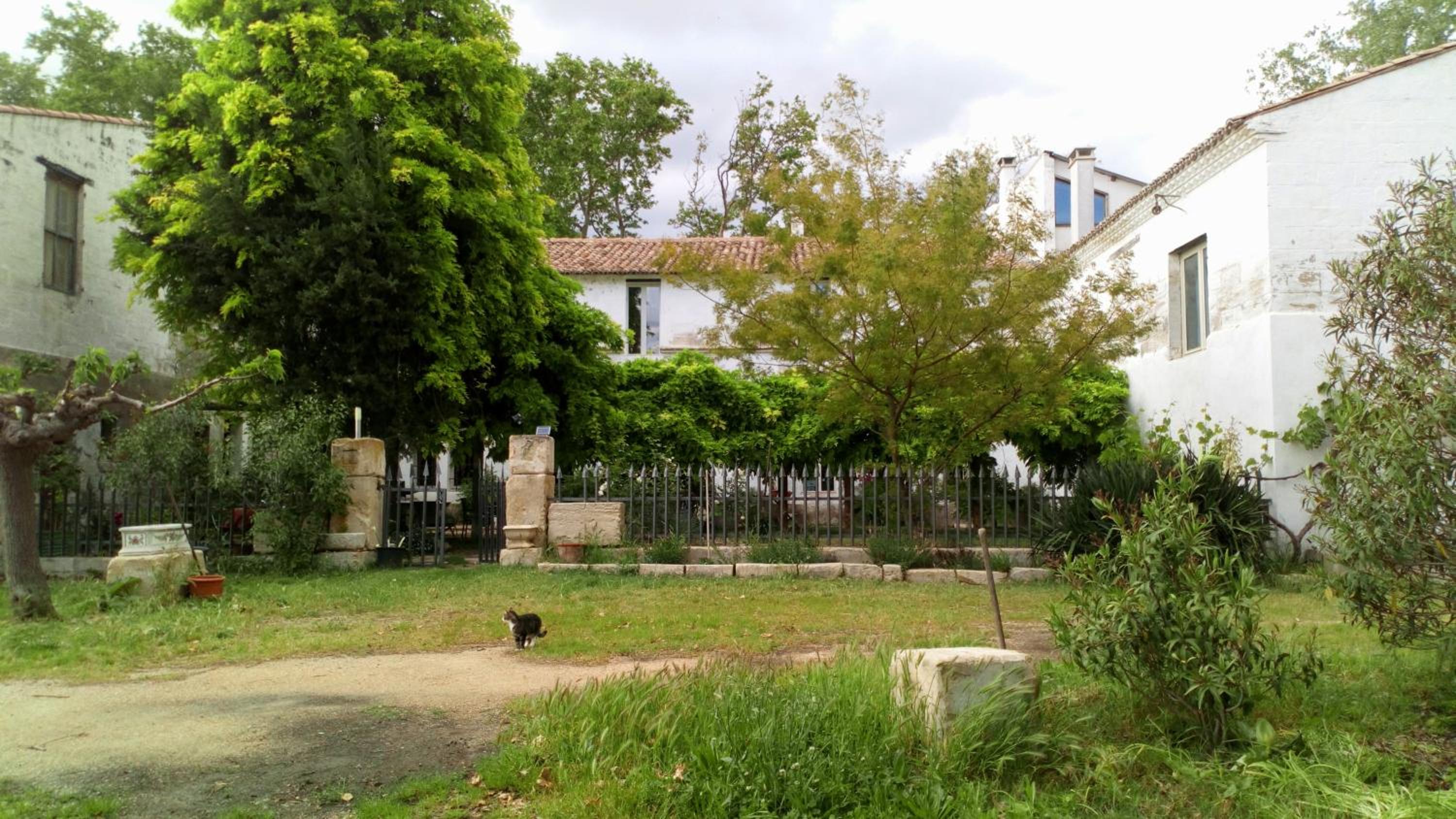 Photo 7