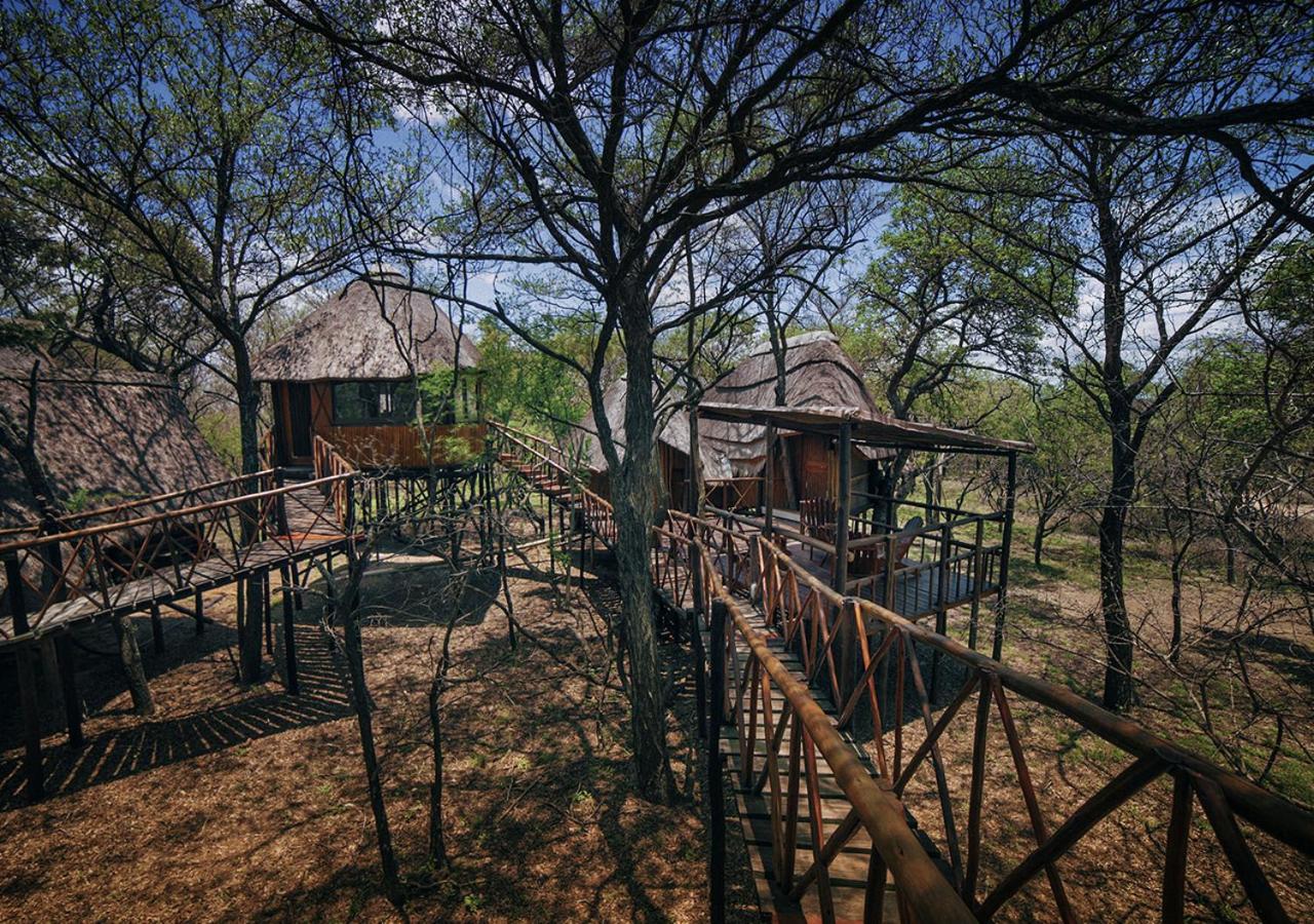 Pezulu Tree House Lodge