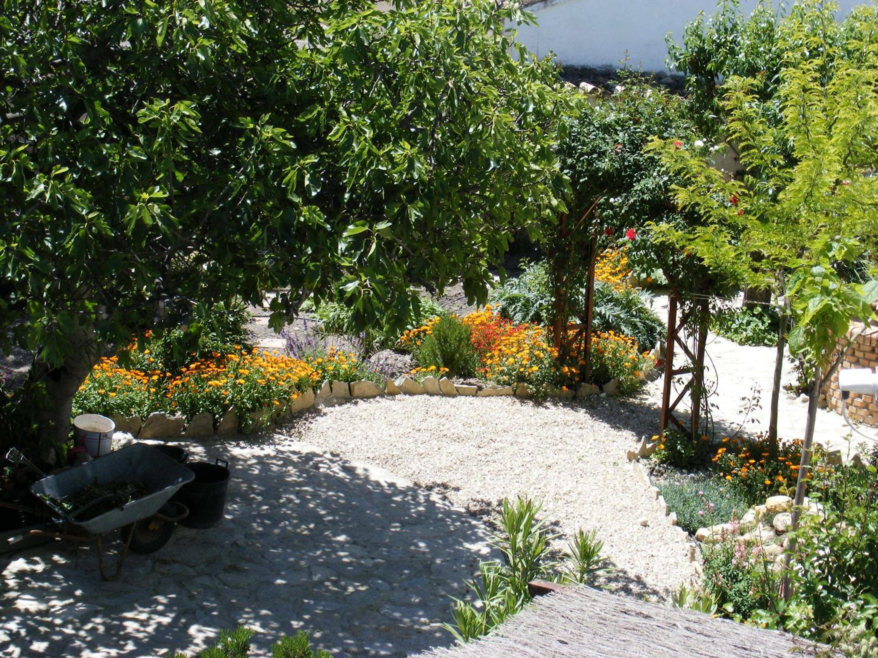 Photo 81