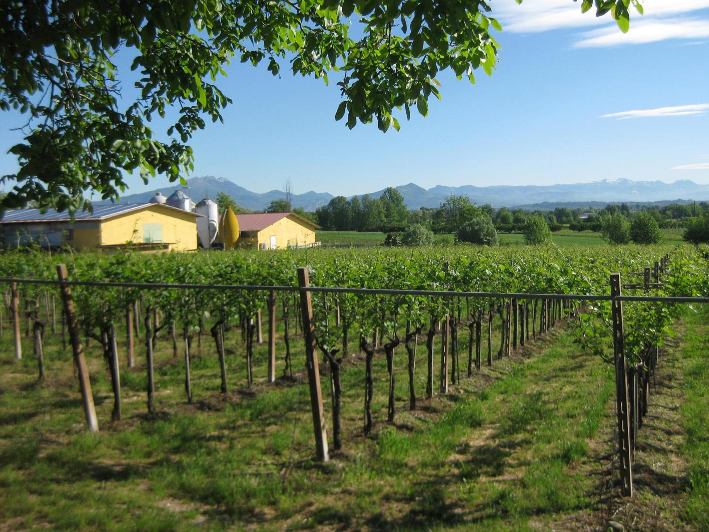 Agriturismo e Agricamping Le Nosare