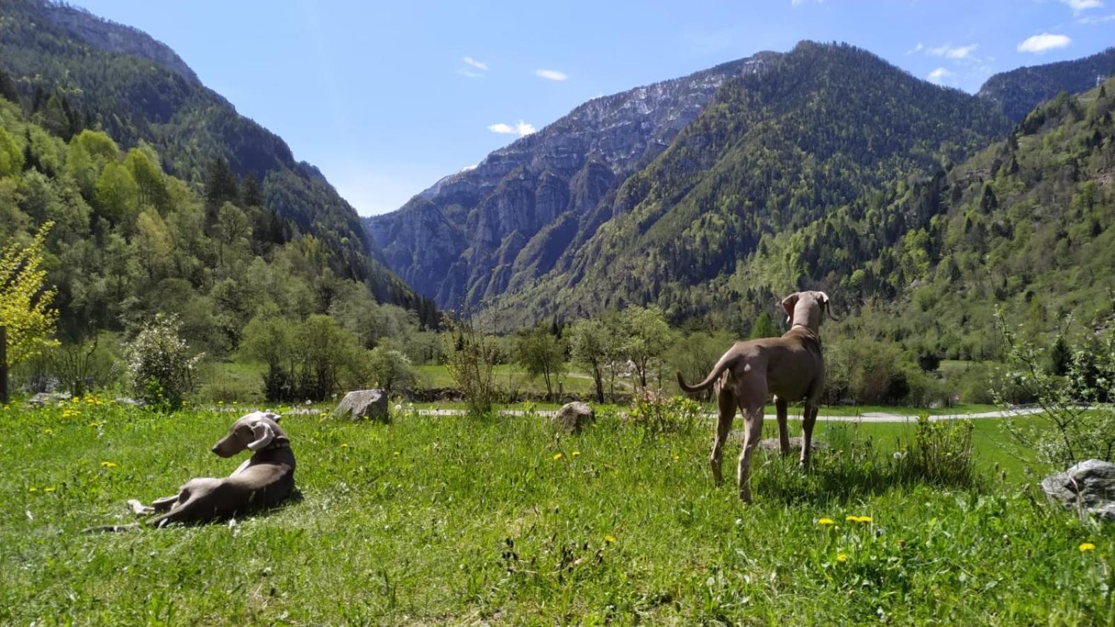 Eco-Baita Natura Spensierata, Billede 50