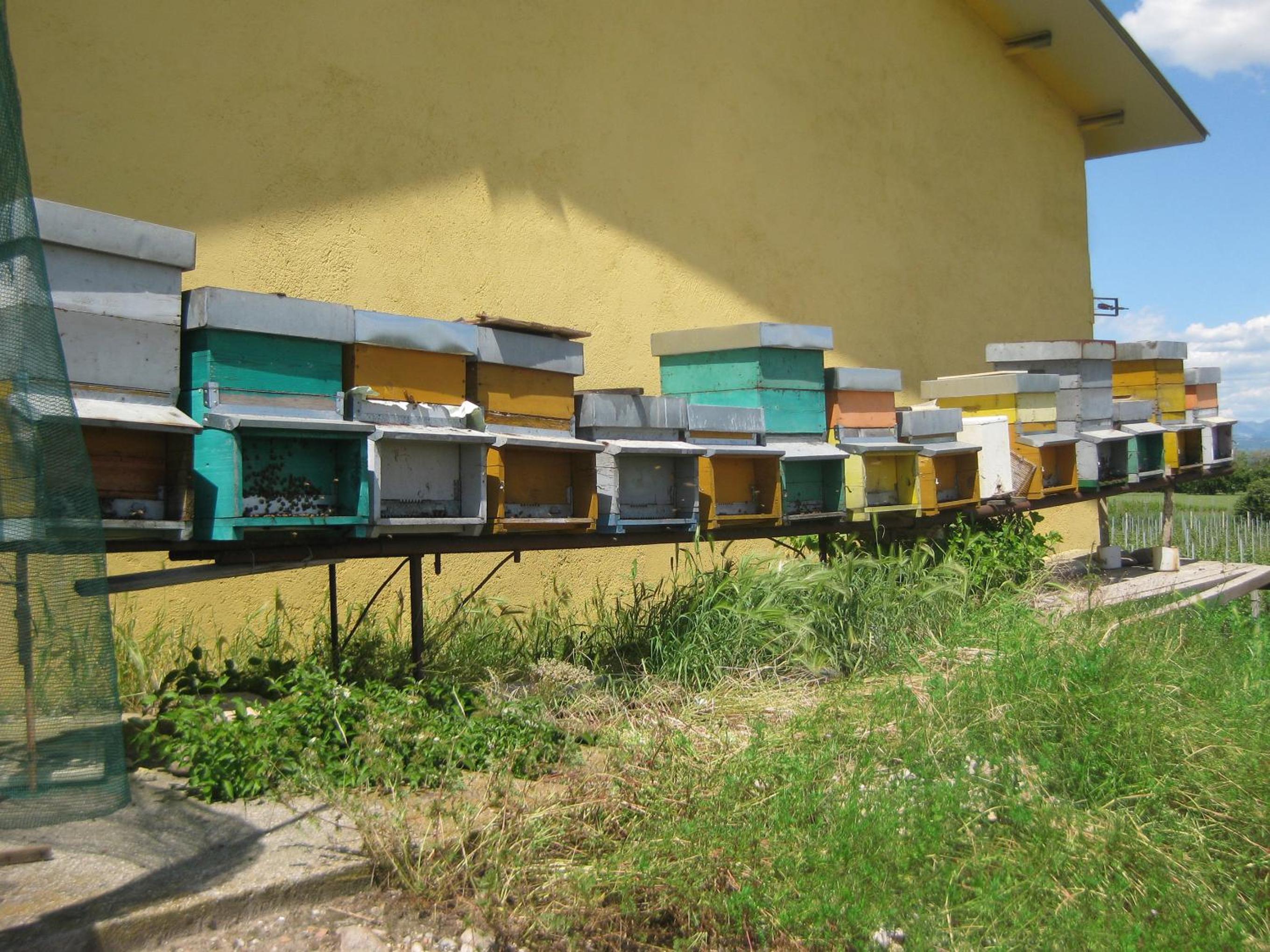 Agriturismo e Agricamping Le Nosare
