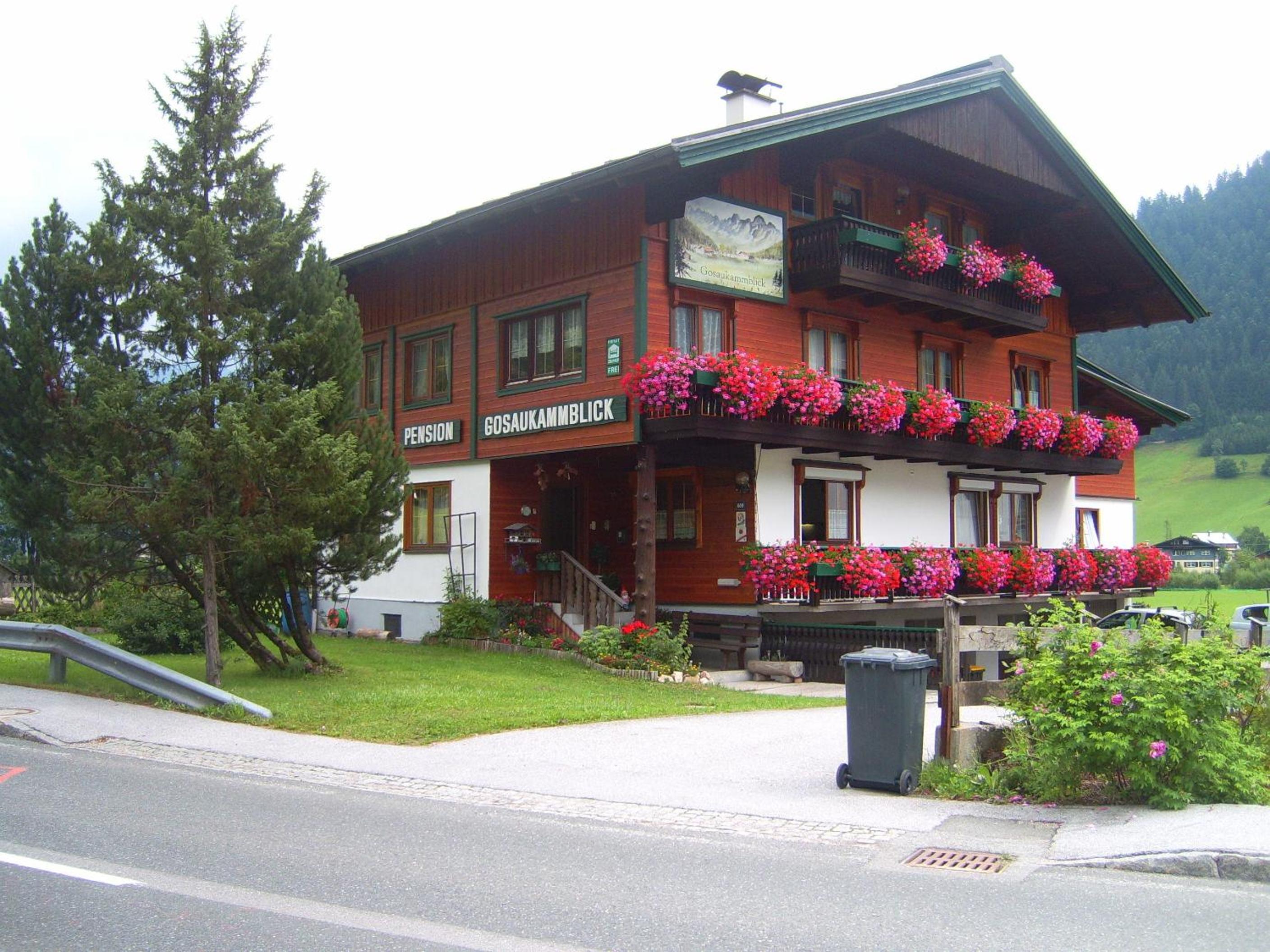 Privatpension Gosaukammblick