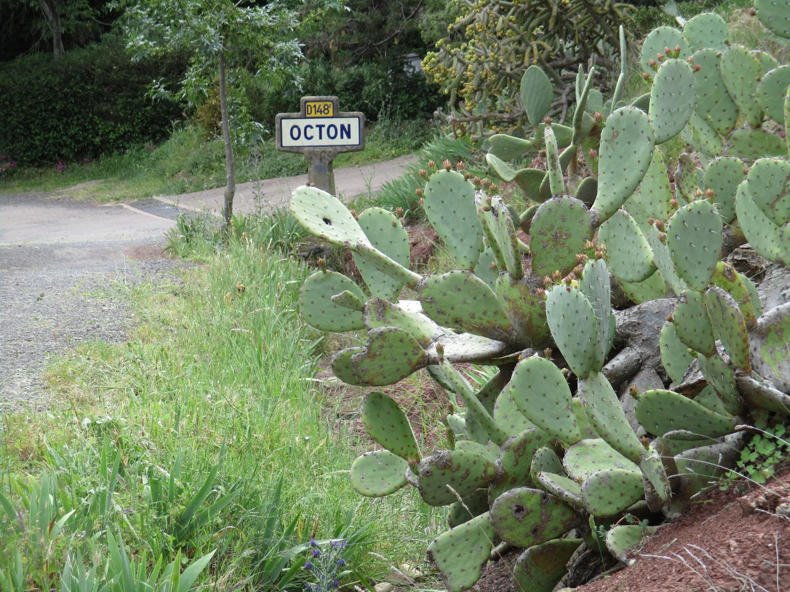 Hotes'Octon view 3