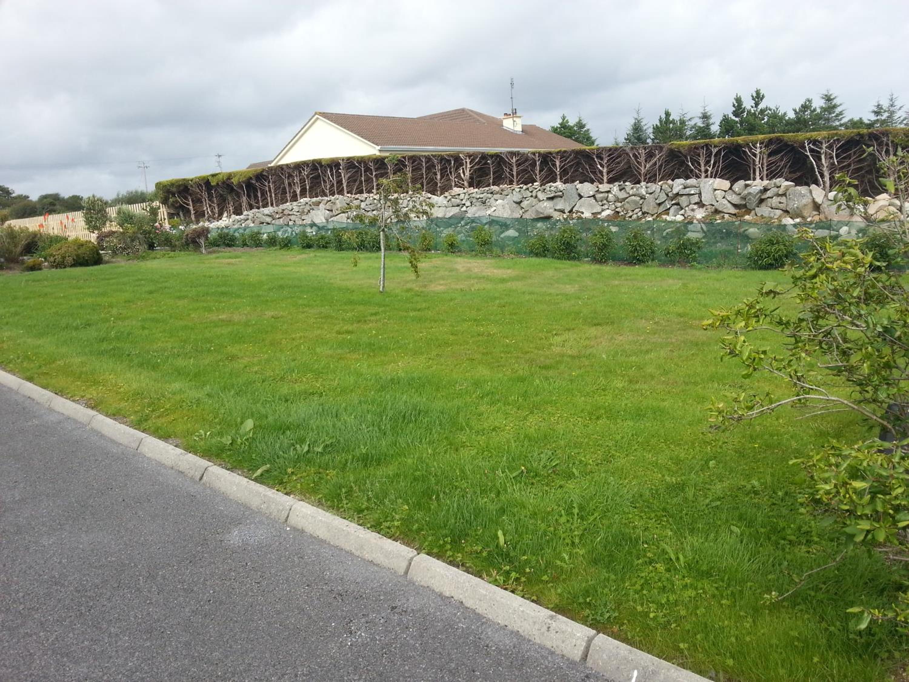Aran View - Radharc Arainn B&B view 3
