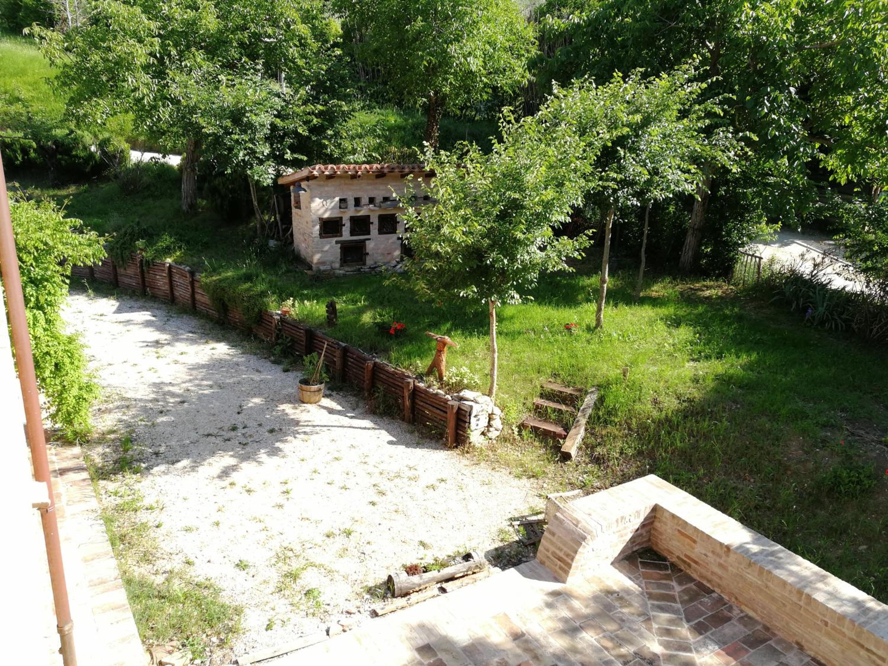 Photo 11