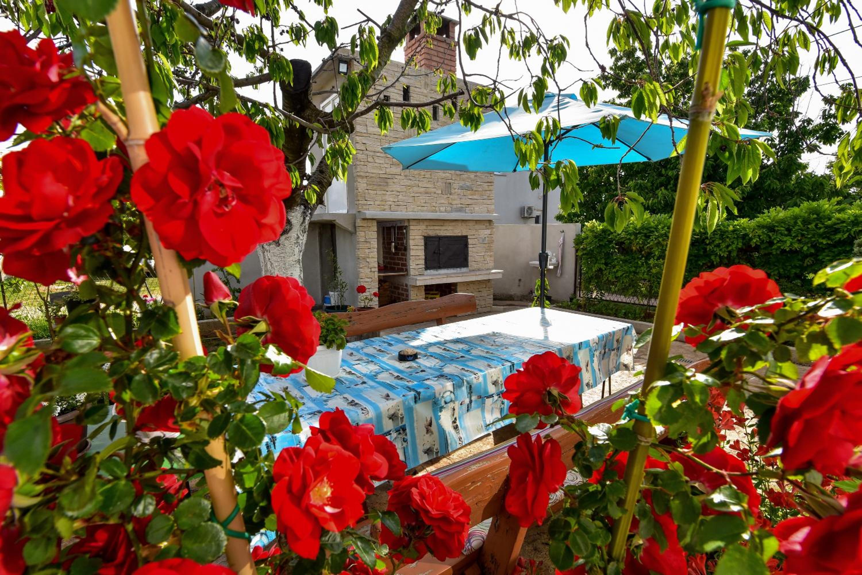 Photo 7