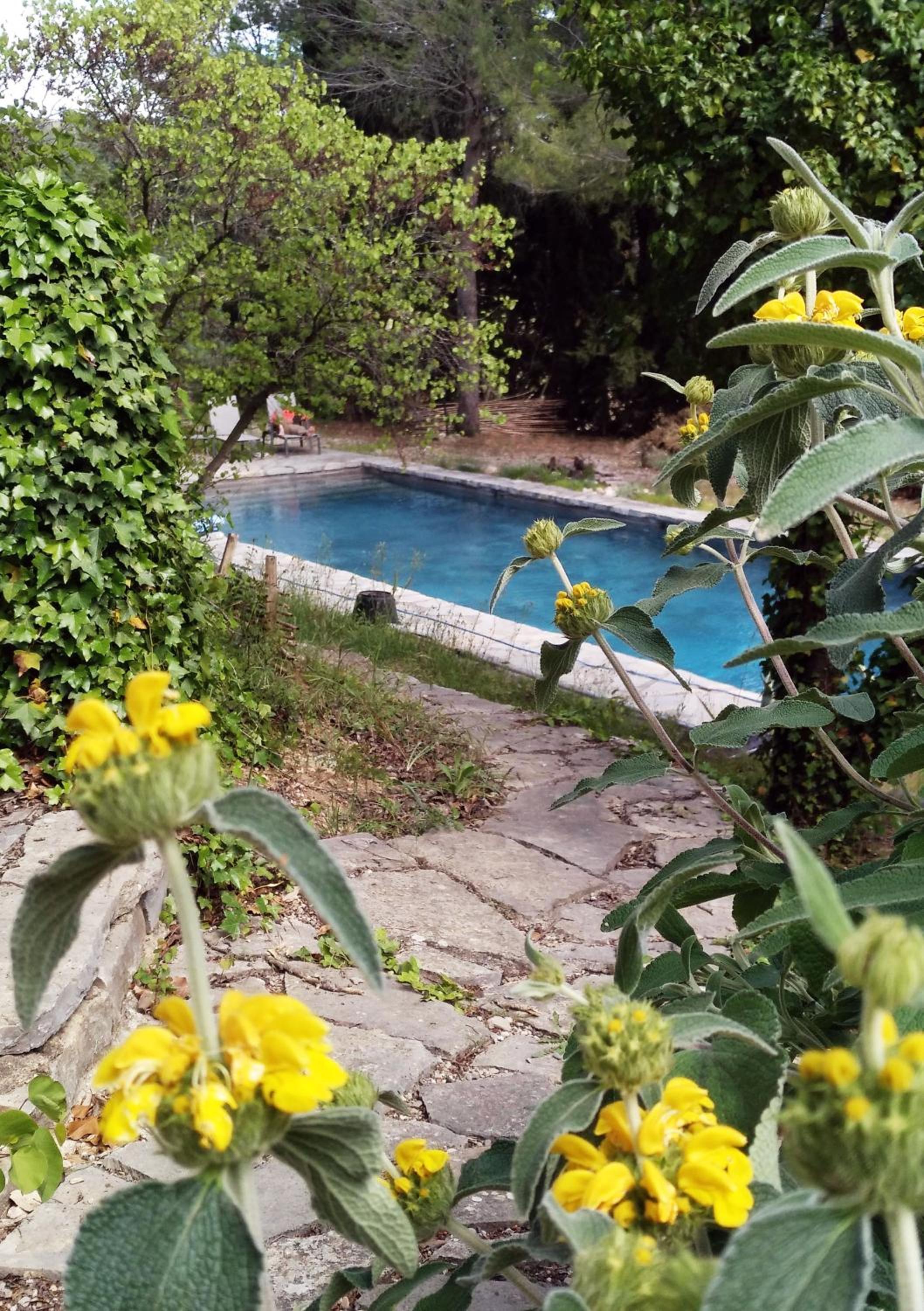 Maison Catalina, photo 25