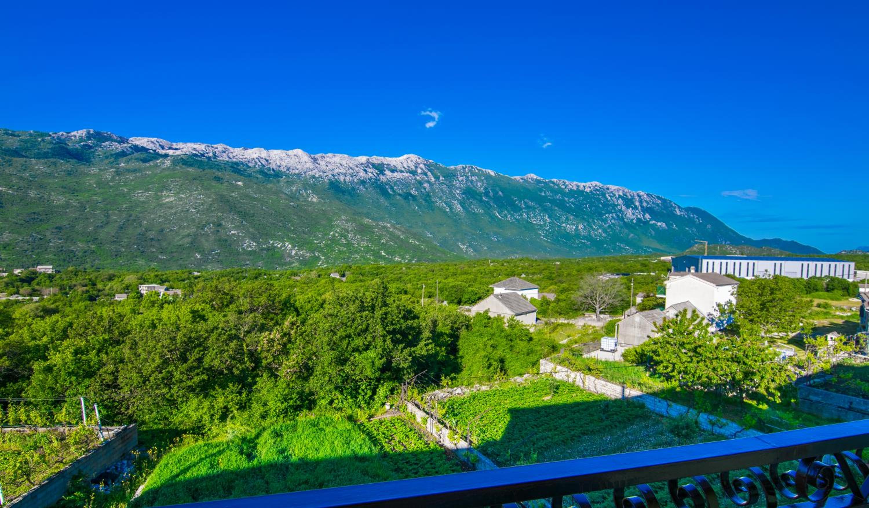 Apartman Vendi