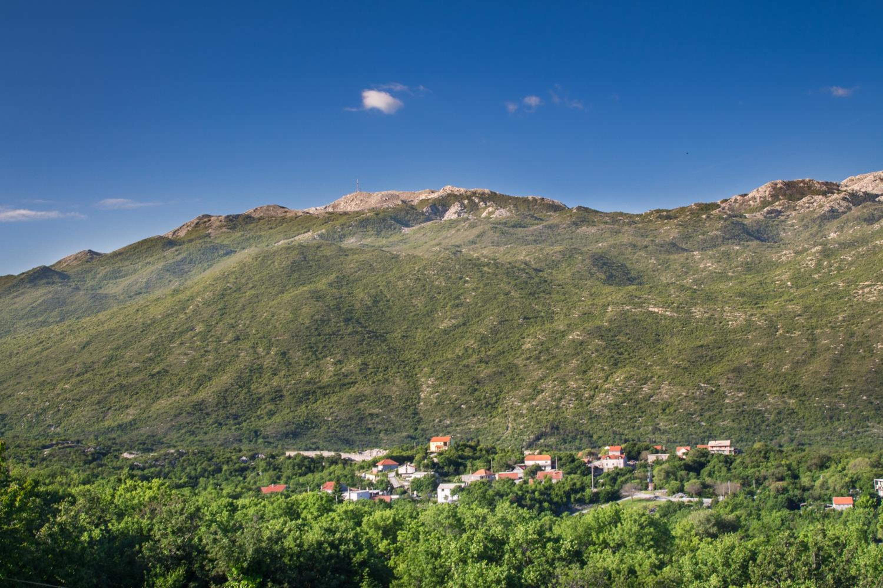 Apartman Vendi
