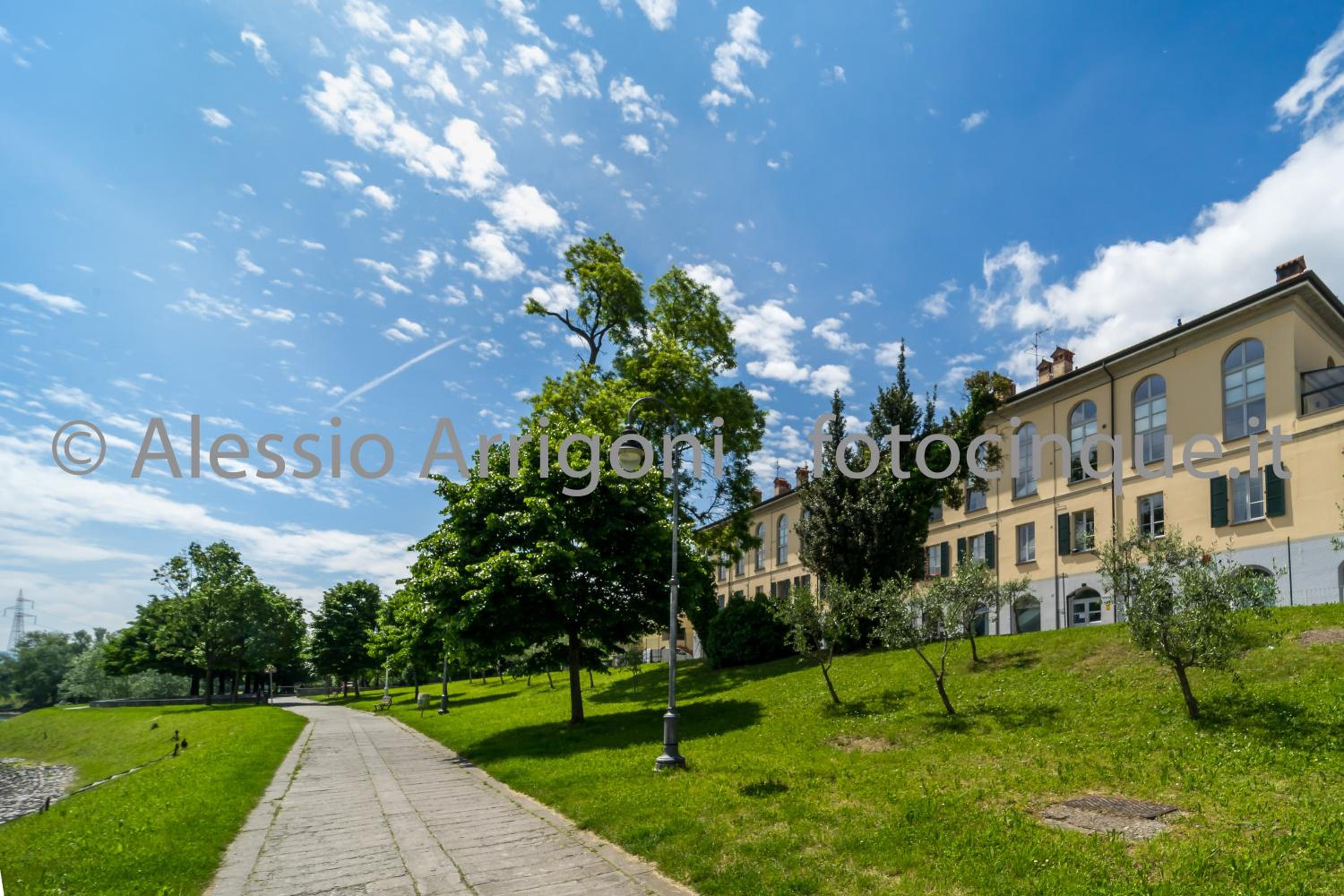 Photo 46