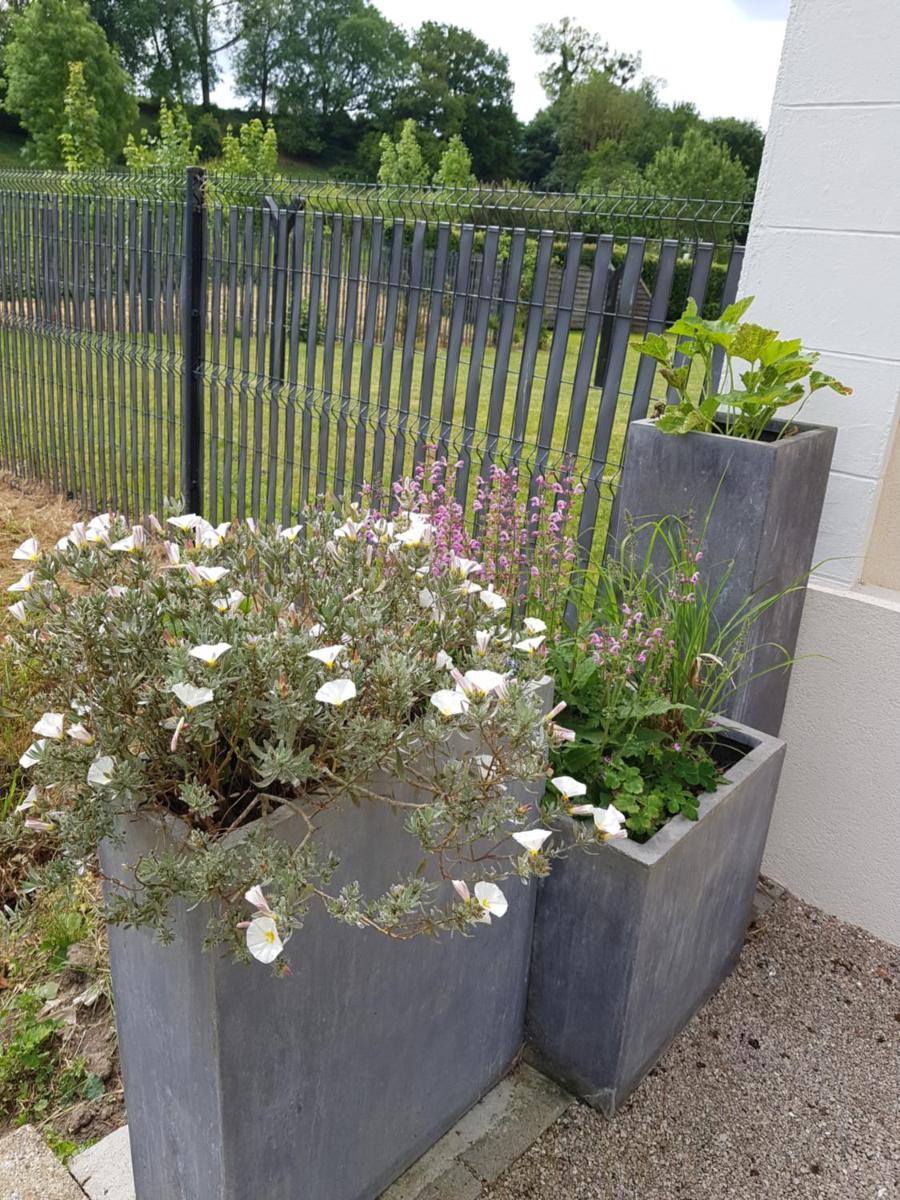 Le Gite d'en Bas - Property Image 21
