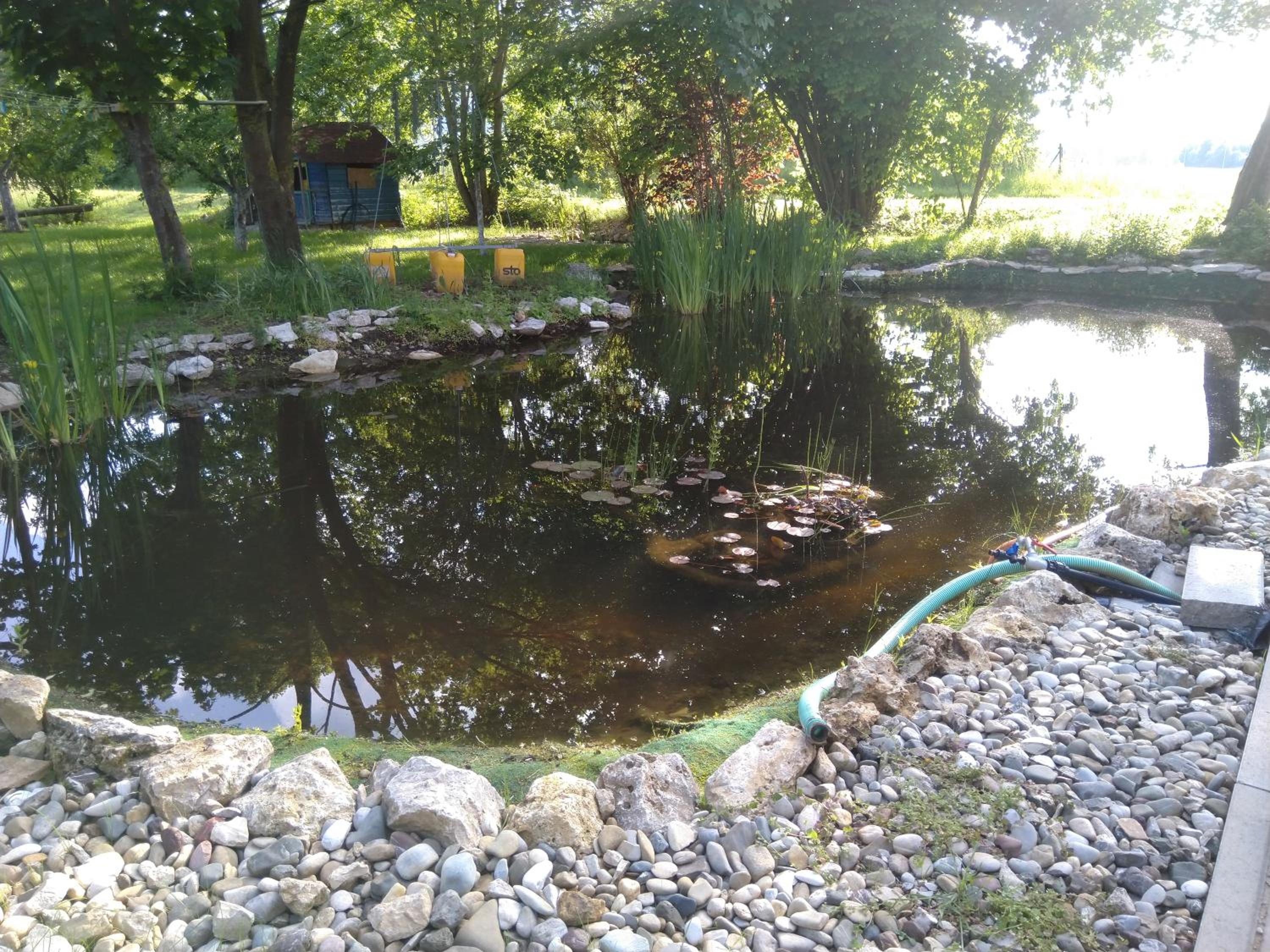 Photo 10