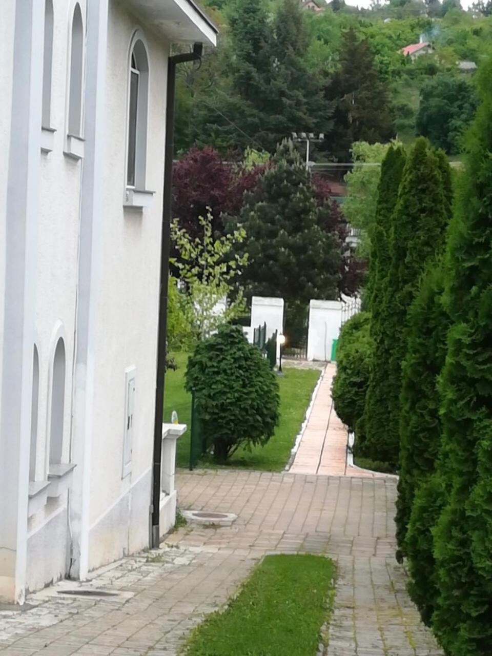 Vila Kraljica Vrdnik