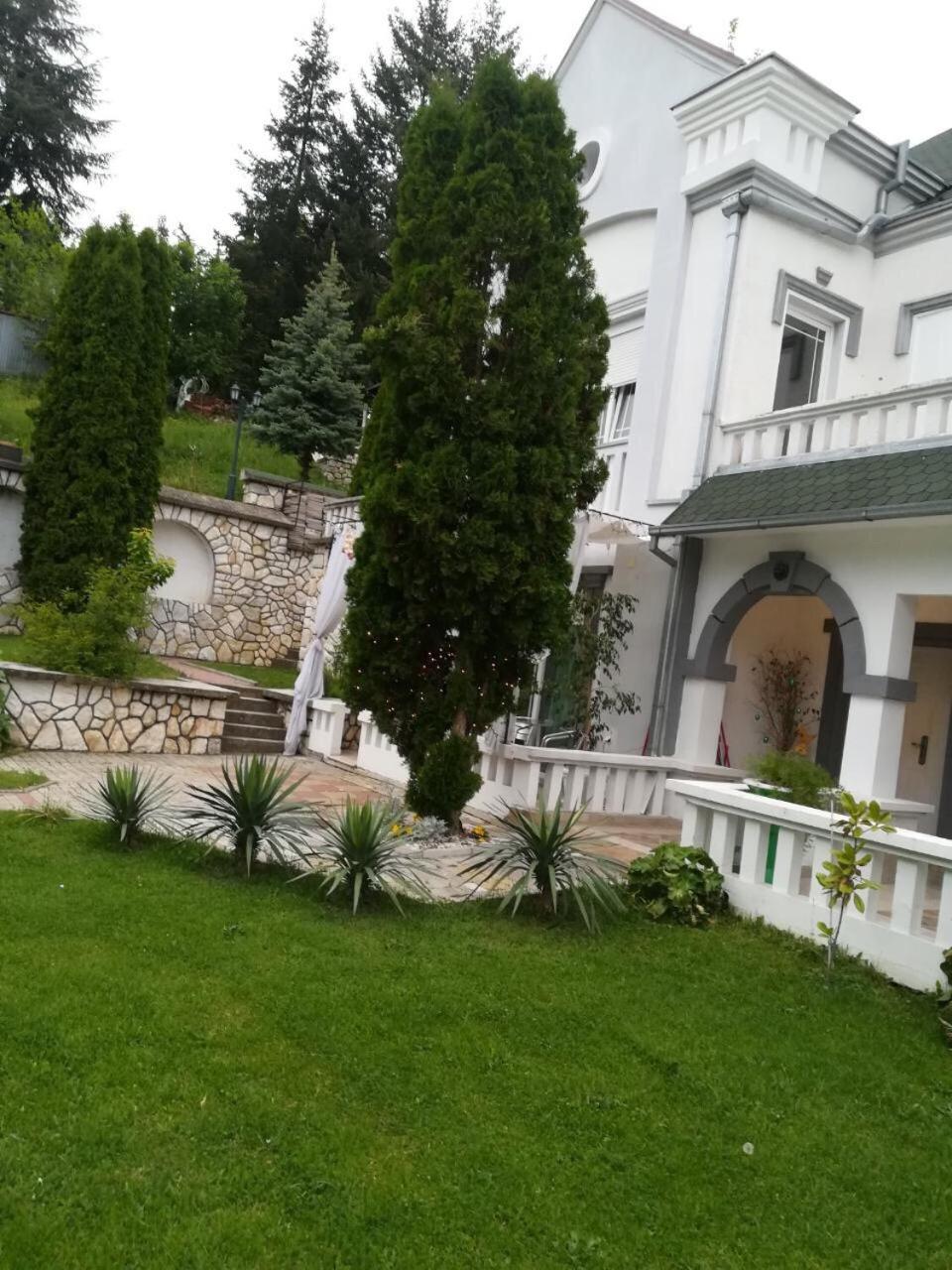 Vila Kraljica Vrdnik