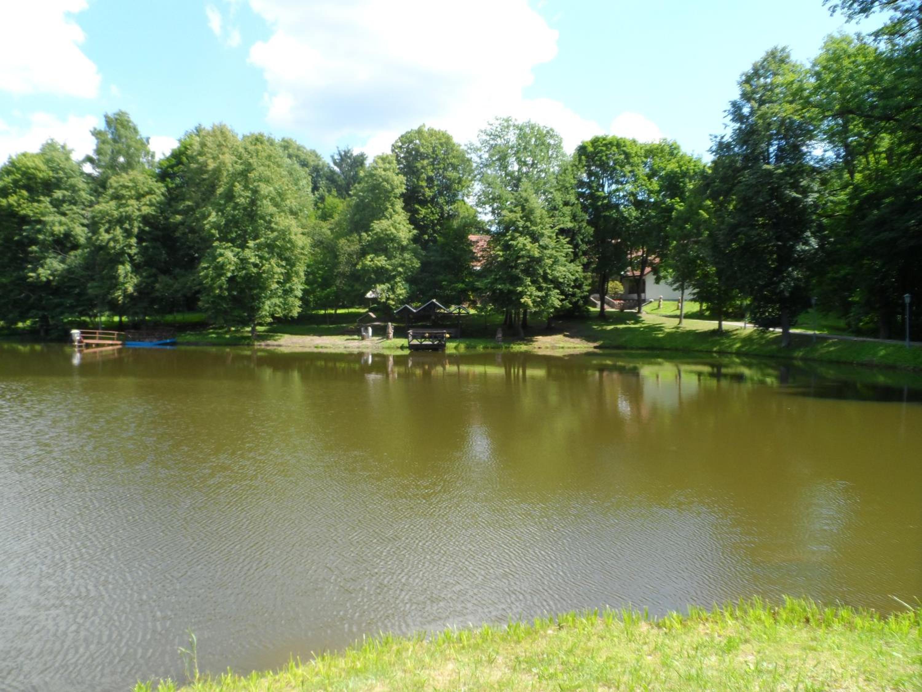 Senieji Bačkonys