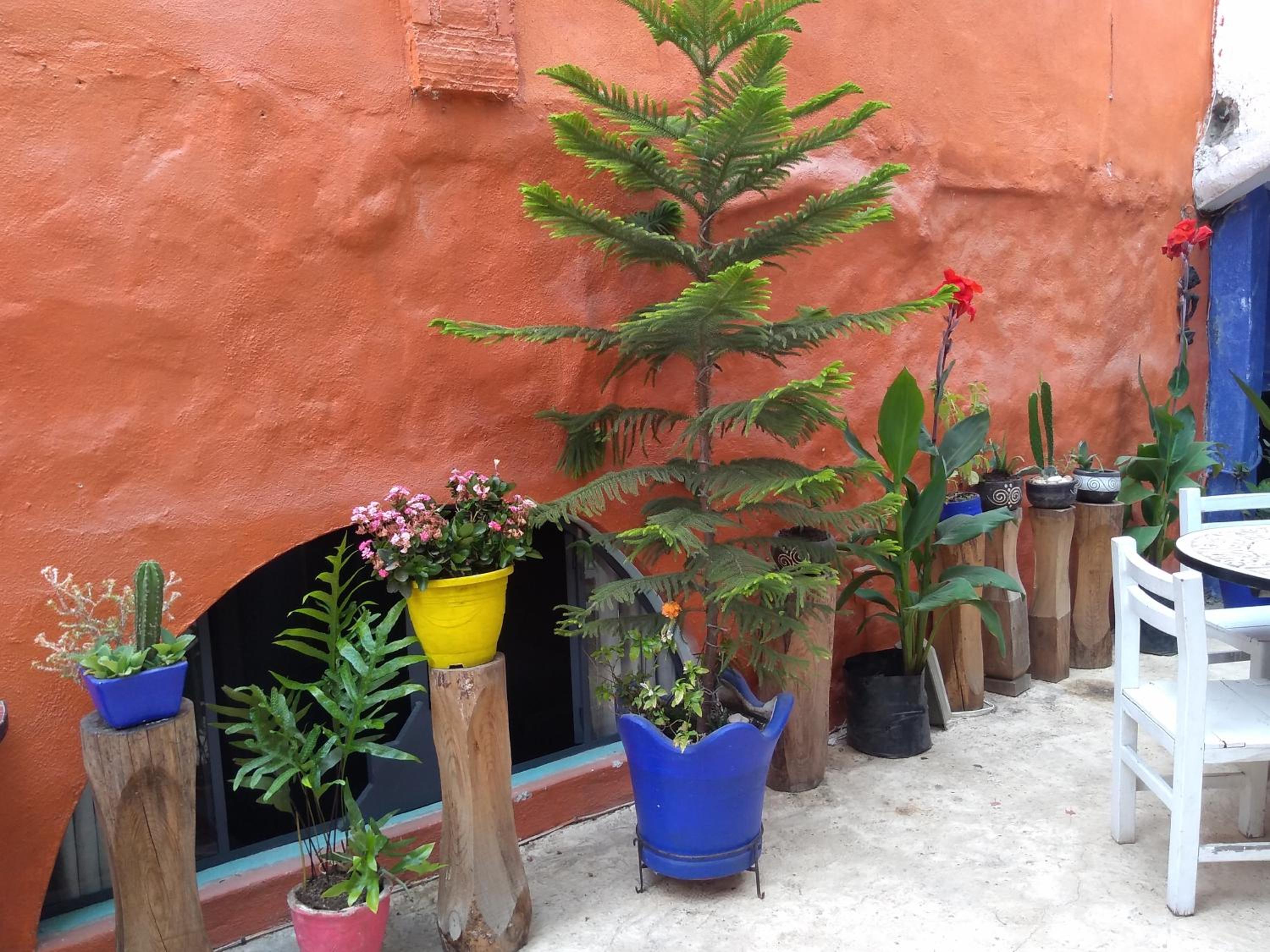 Riad Lola