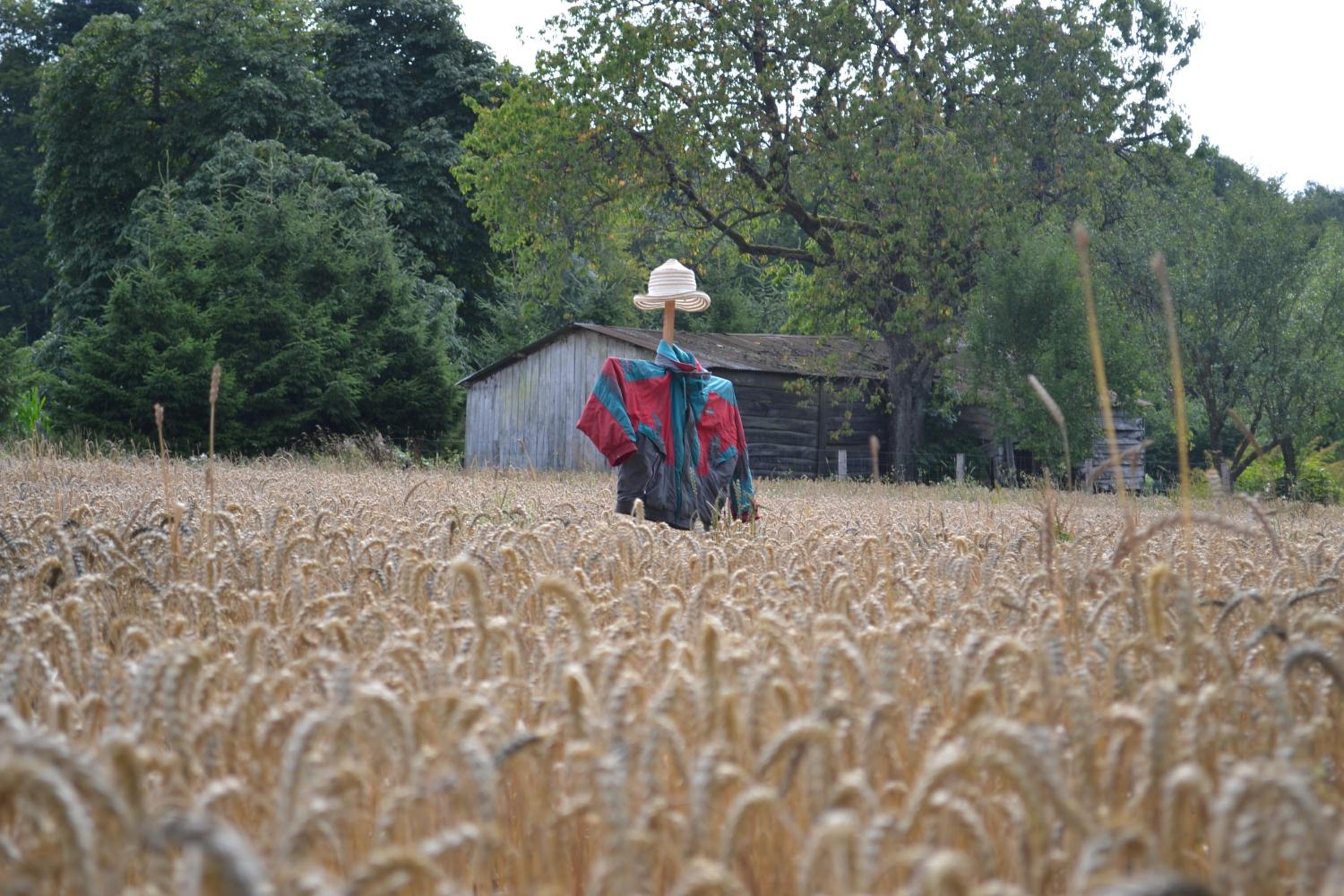 Gîte La Clef des Champs