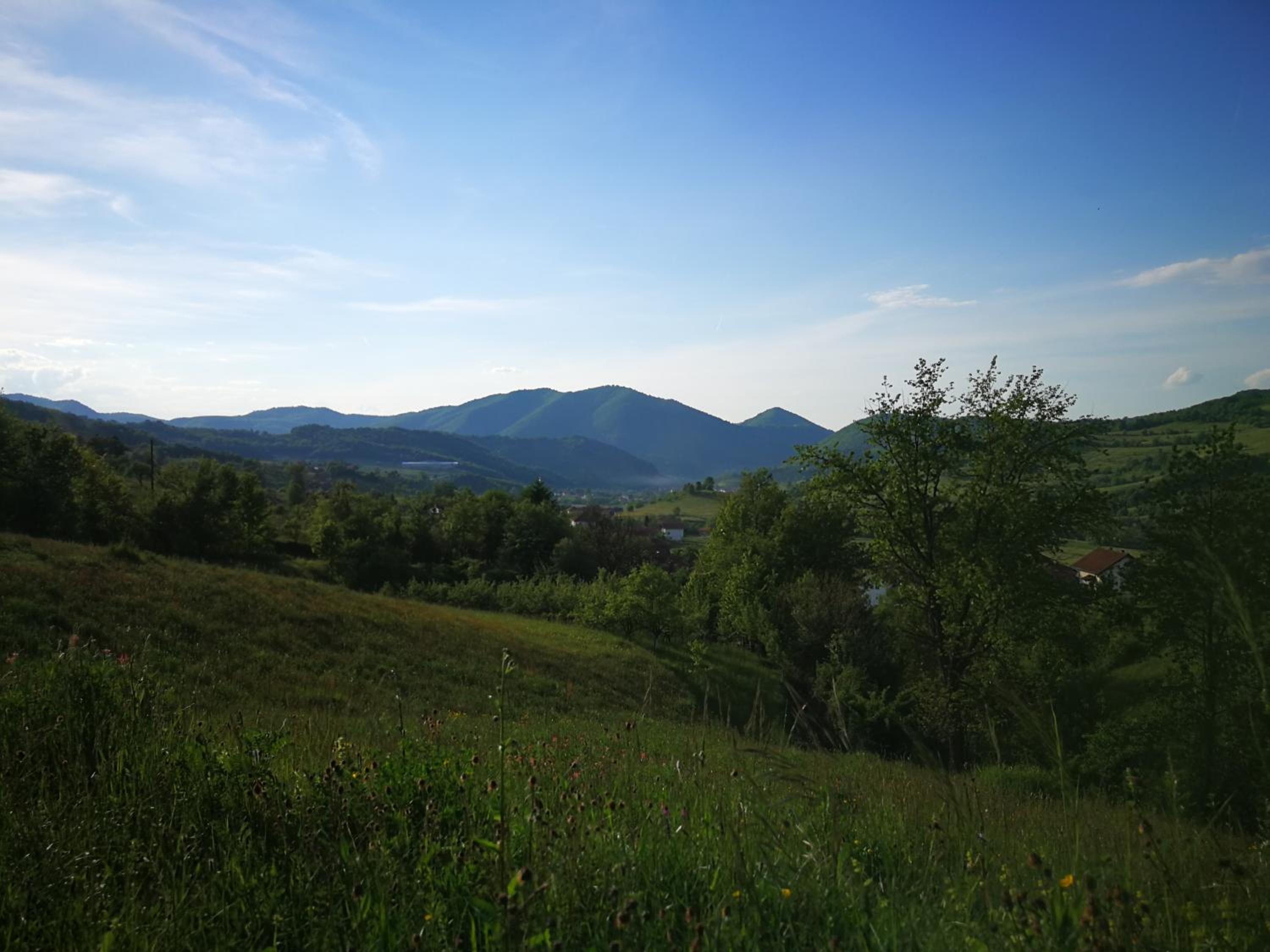 Green Idylle -Pyramid View