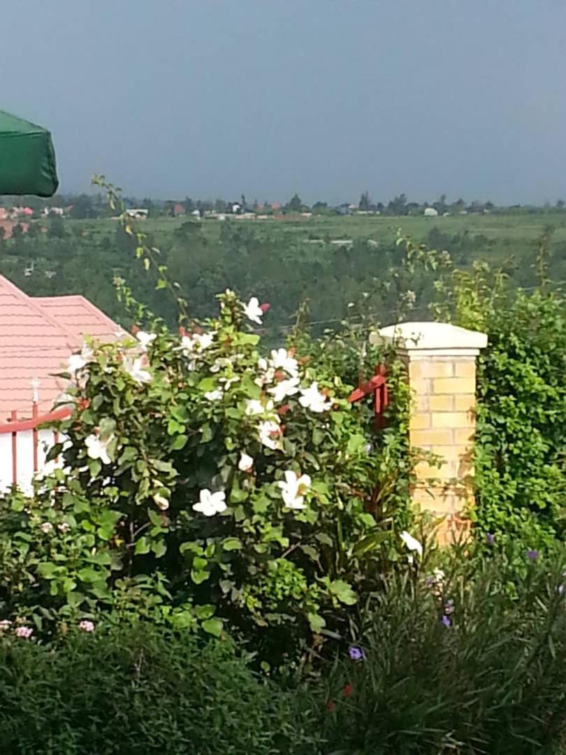 Photo 44