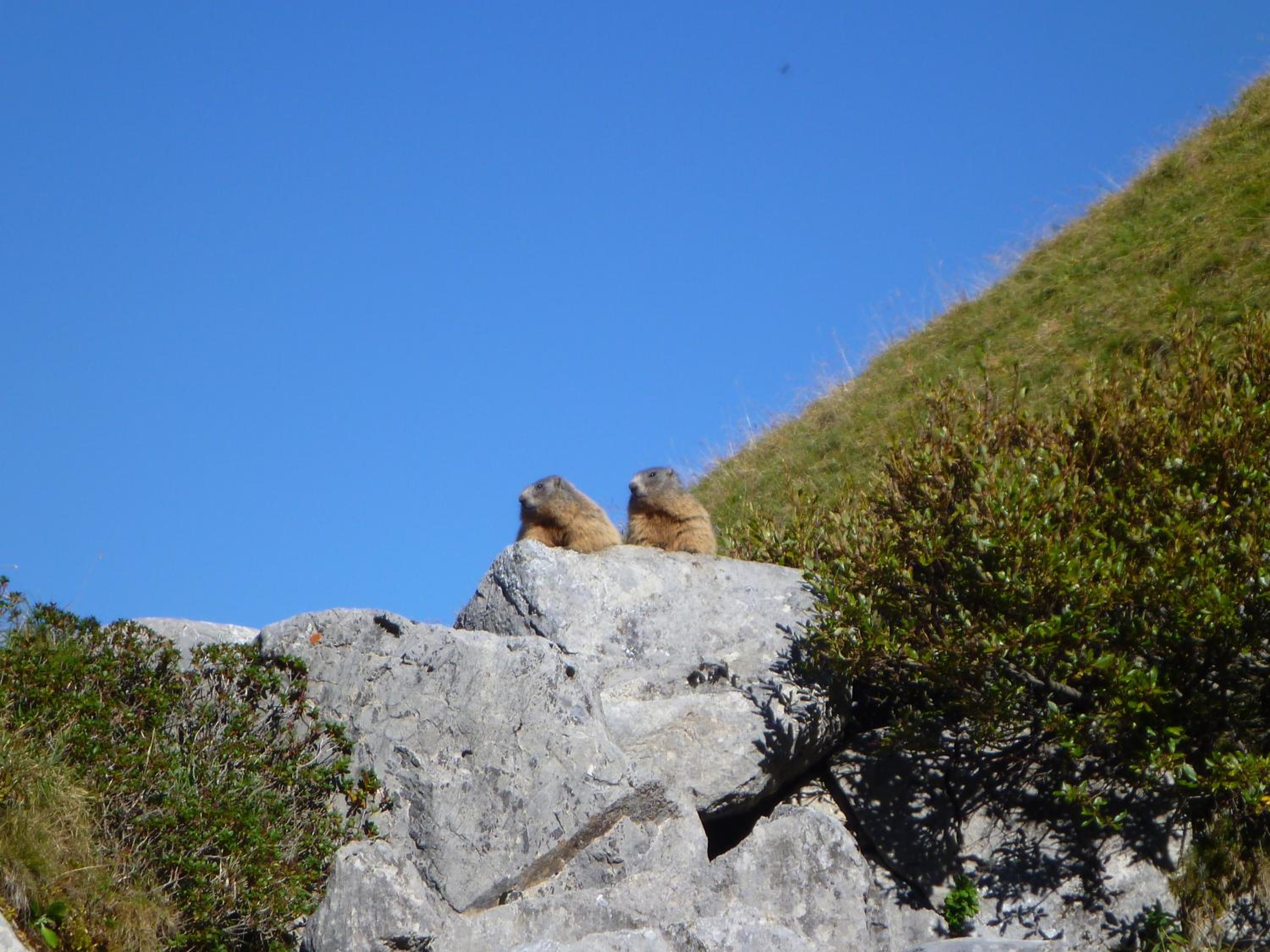 Photo 24