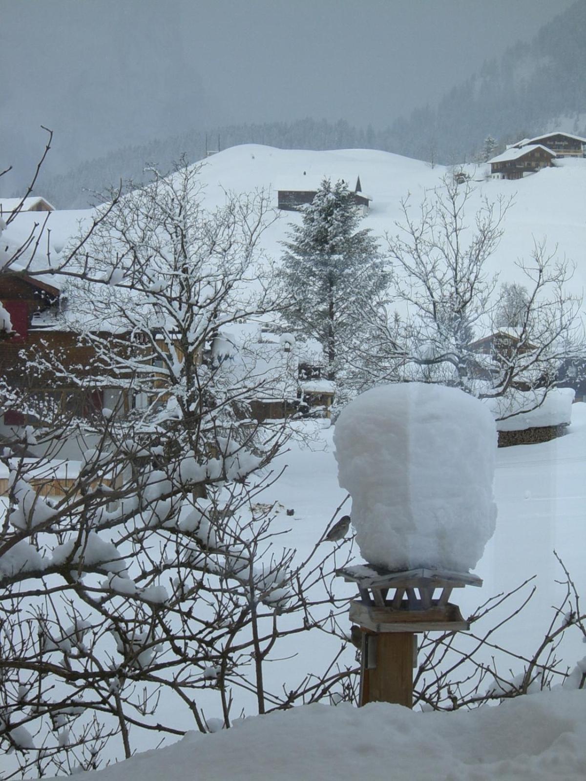 Urlaub bei Moses view 3
