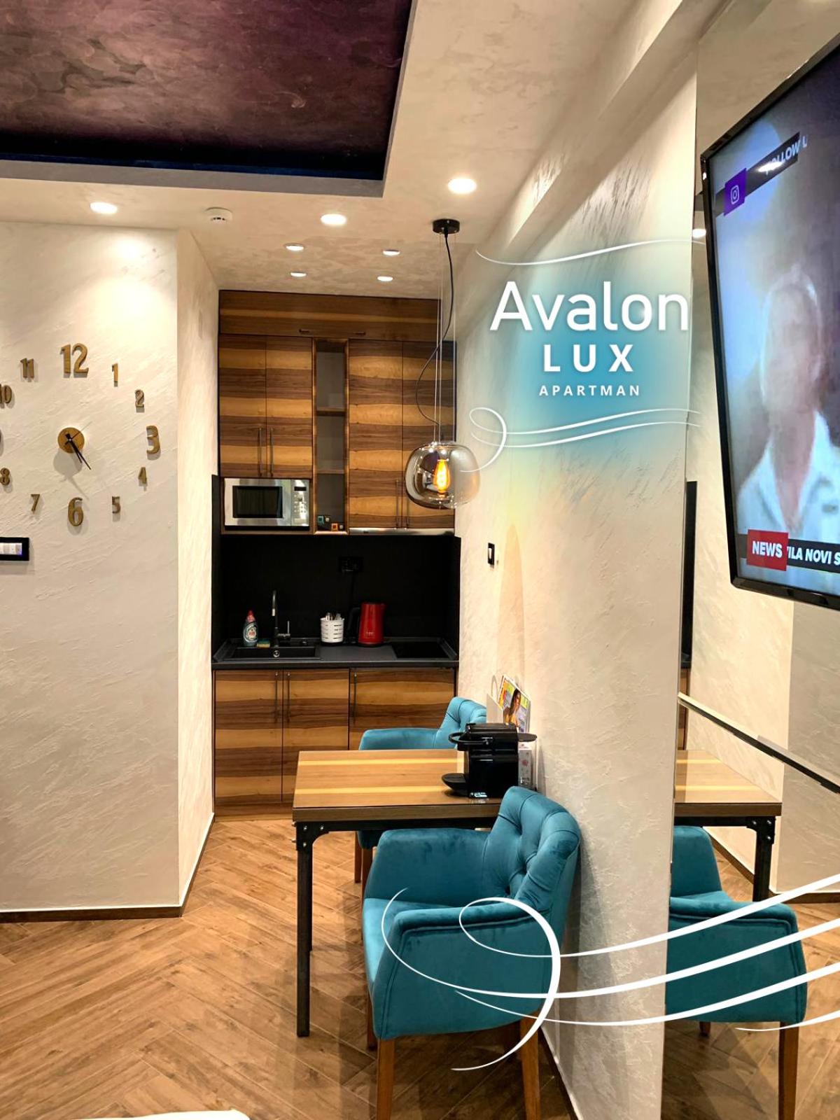 Avalon Lux Studio Apartment view 5
