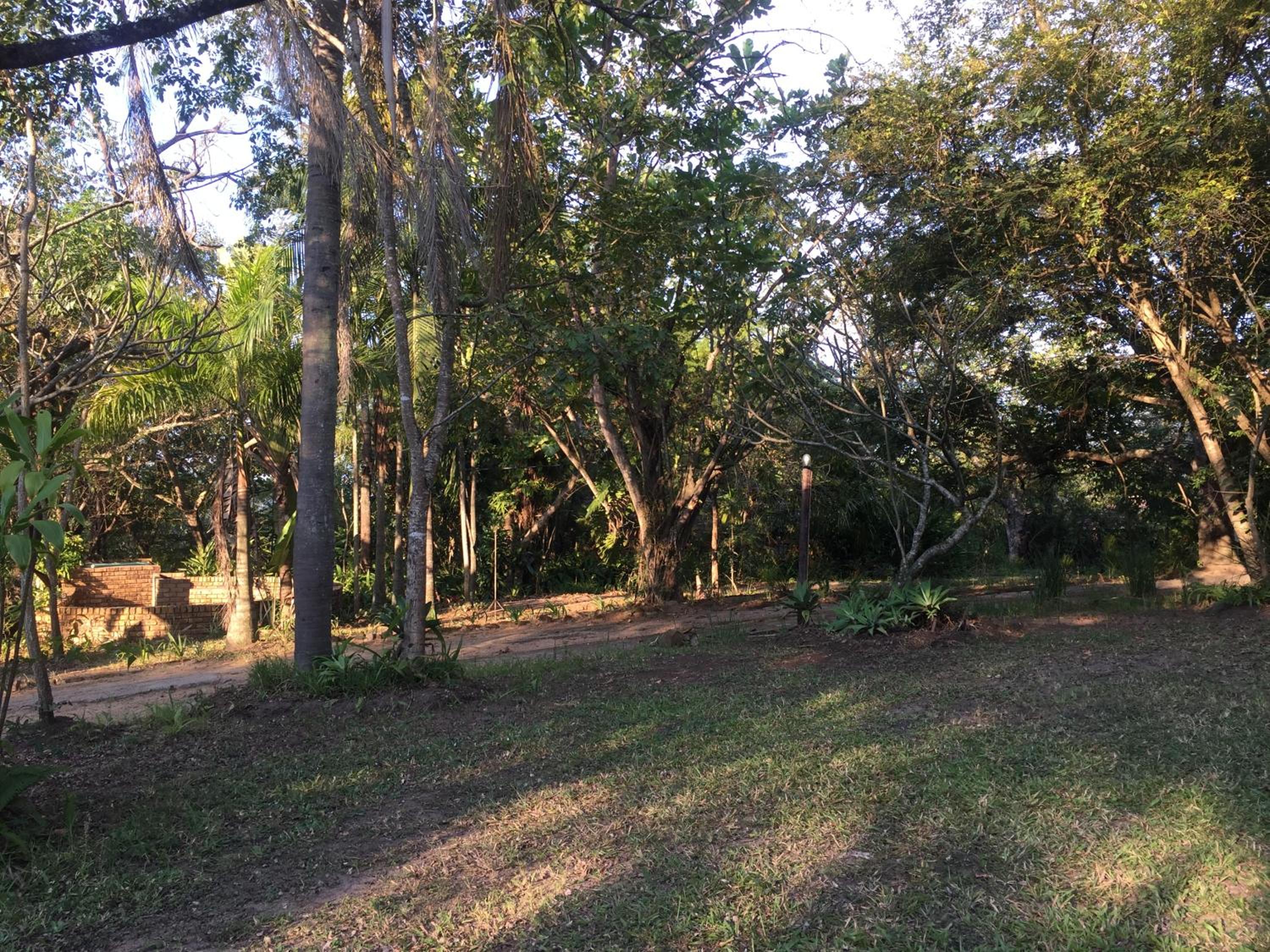 Photo 26