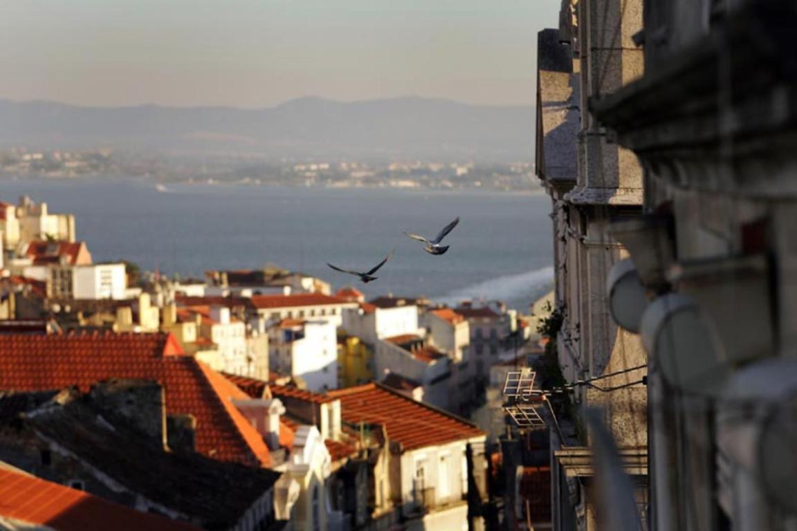 Sete Colinas Apartment view 5